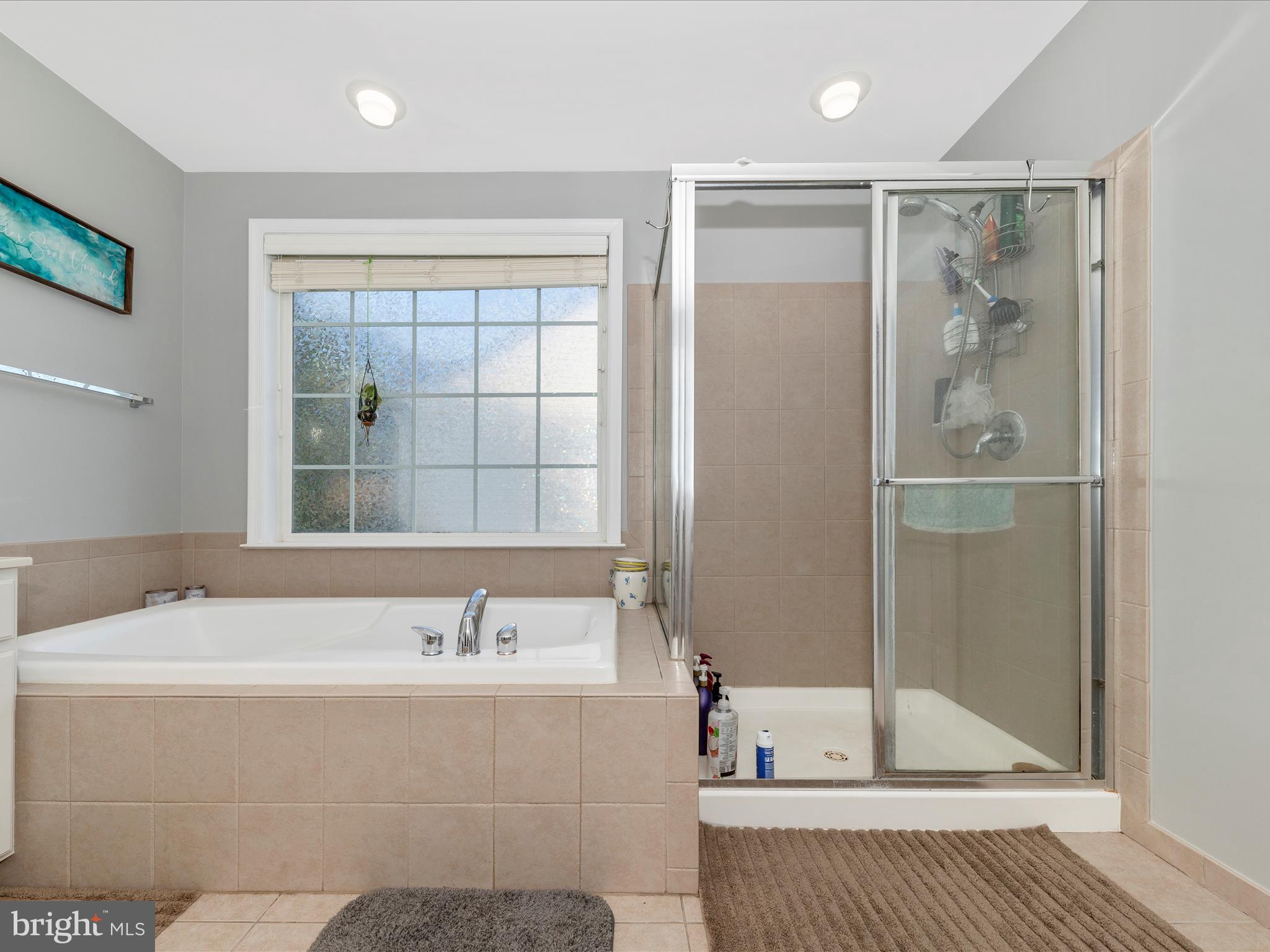 4 Jeffrey Lane Brunswick, MD 21758 - Photo 24 of 39 a bathroom with a tub a sink and a large mirror