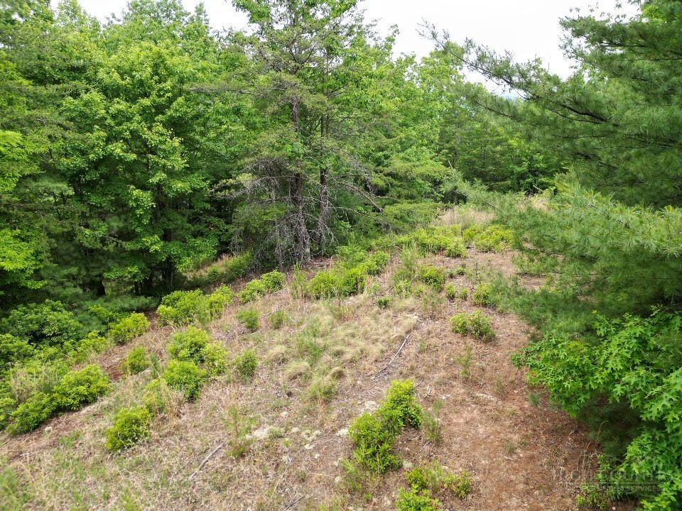 22 Elk Ridge Road Ferguson, NC 28624 - Photo 7 of 16