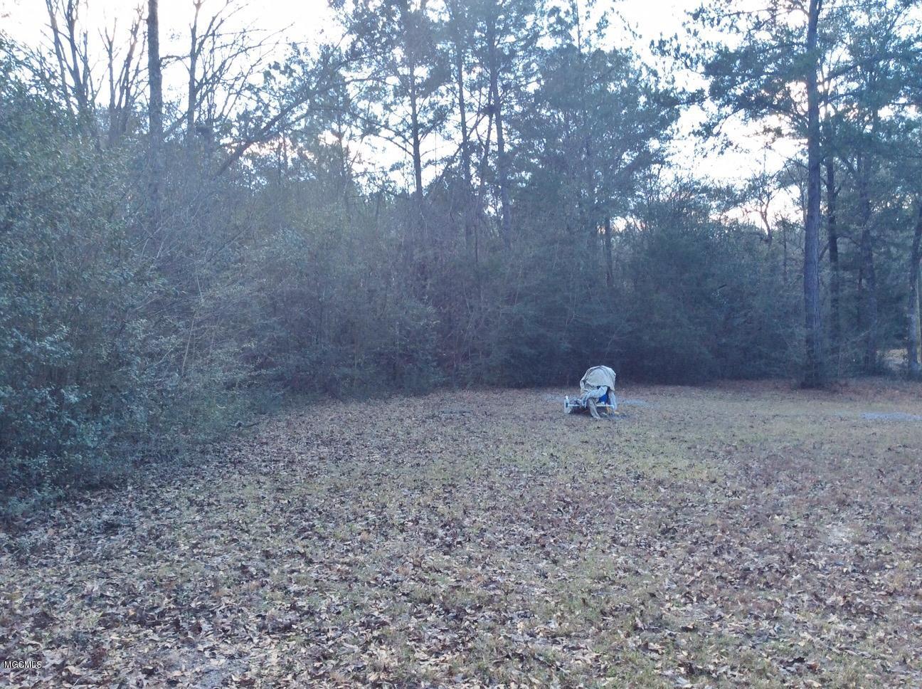 76 Elmer Smith Road Lumberton, MS 39455 - Photo 16 of 20 LAND