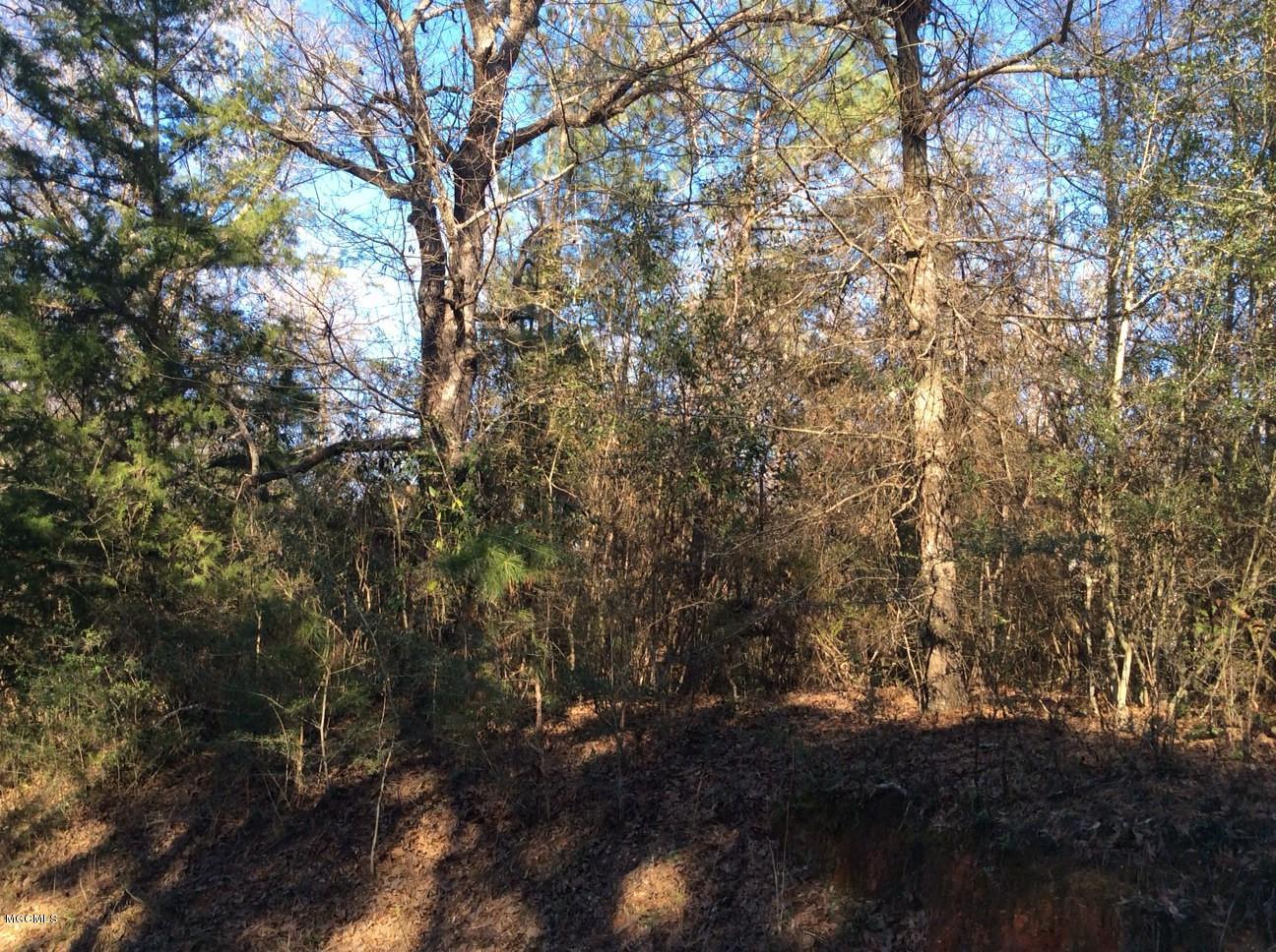 76 Elmer Smith Road Lumberton, MS 39455 - Photo 20 of 20 IMG_0438