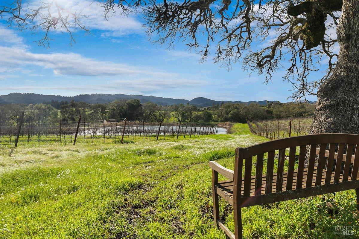 910-920 Lytton Springs Road Healdsburg, CA 95448 - Photo 50 of 59 Gallery Image 50