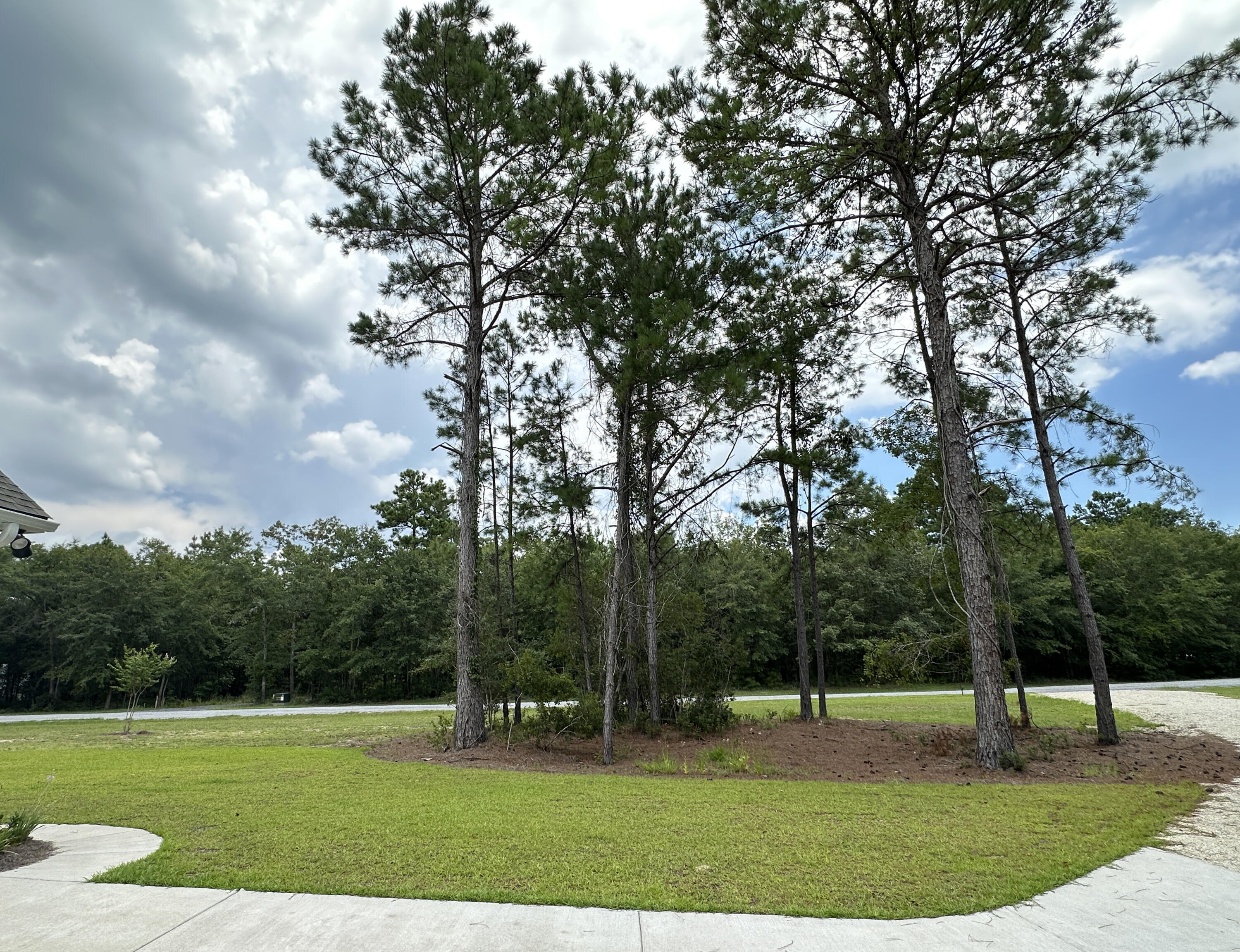 983 Awendaw Lakes Boulevard Awendaw, SC 29429 - Photo 49 of 64 Front Trees