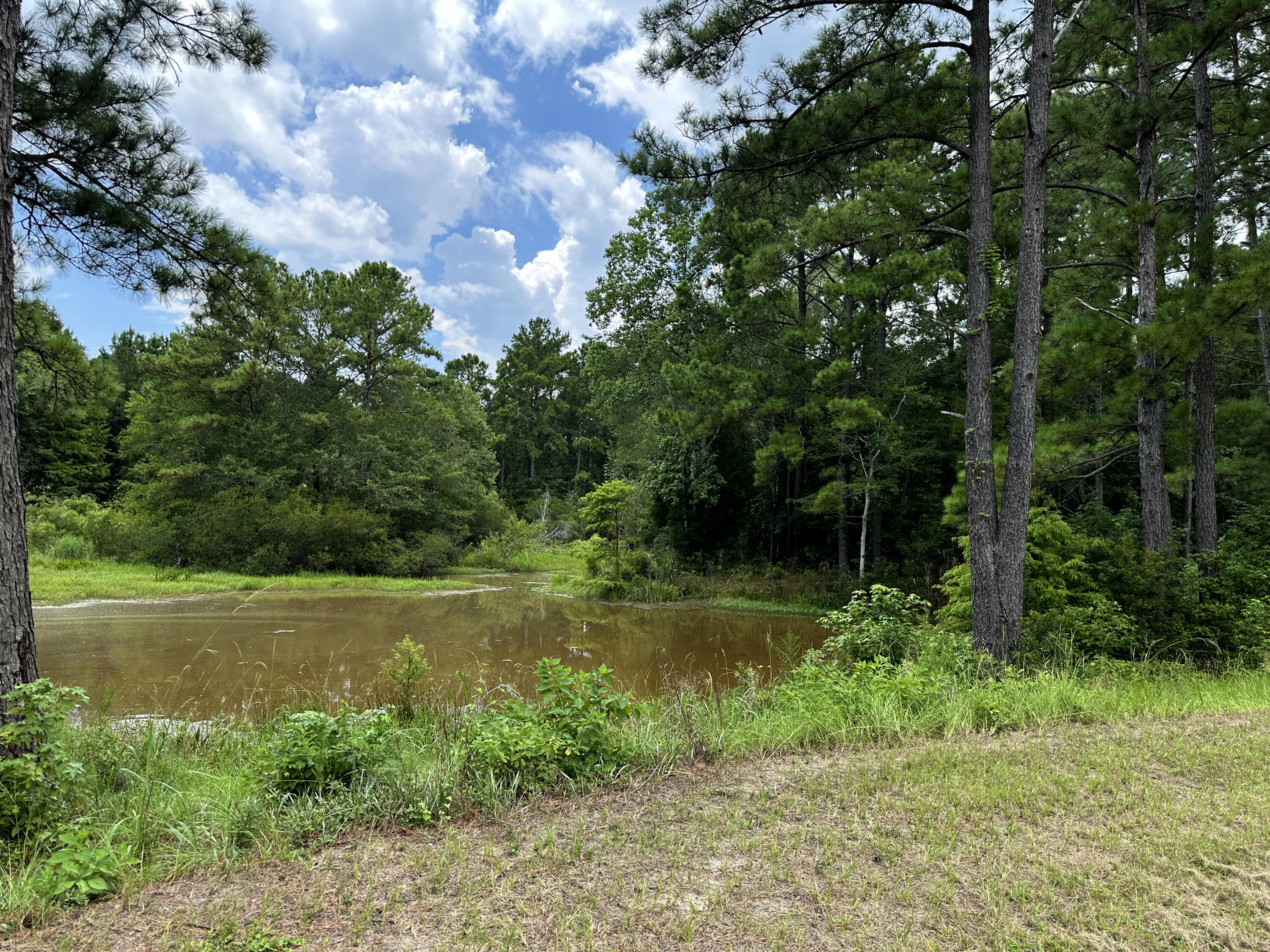 983 Awendaw Lakes Boulevard Awendaw, SC 29429 - Photo 55 of 64 Pond 3