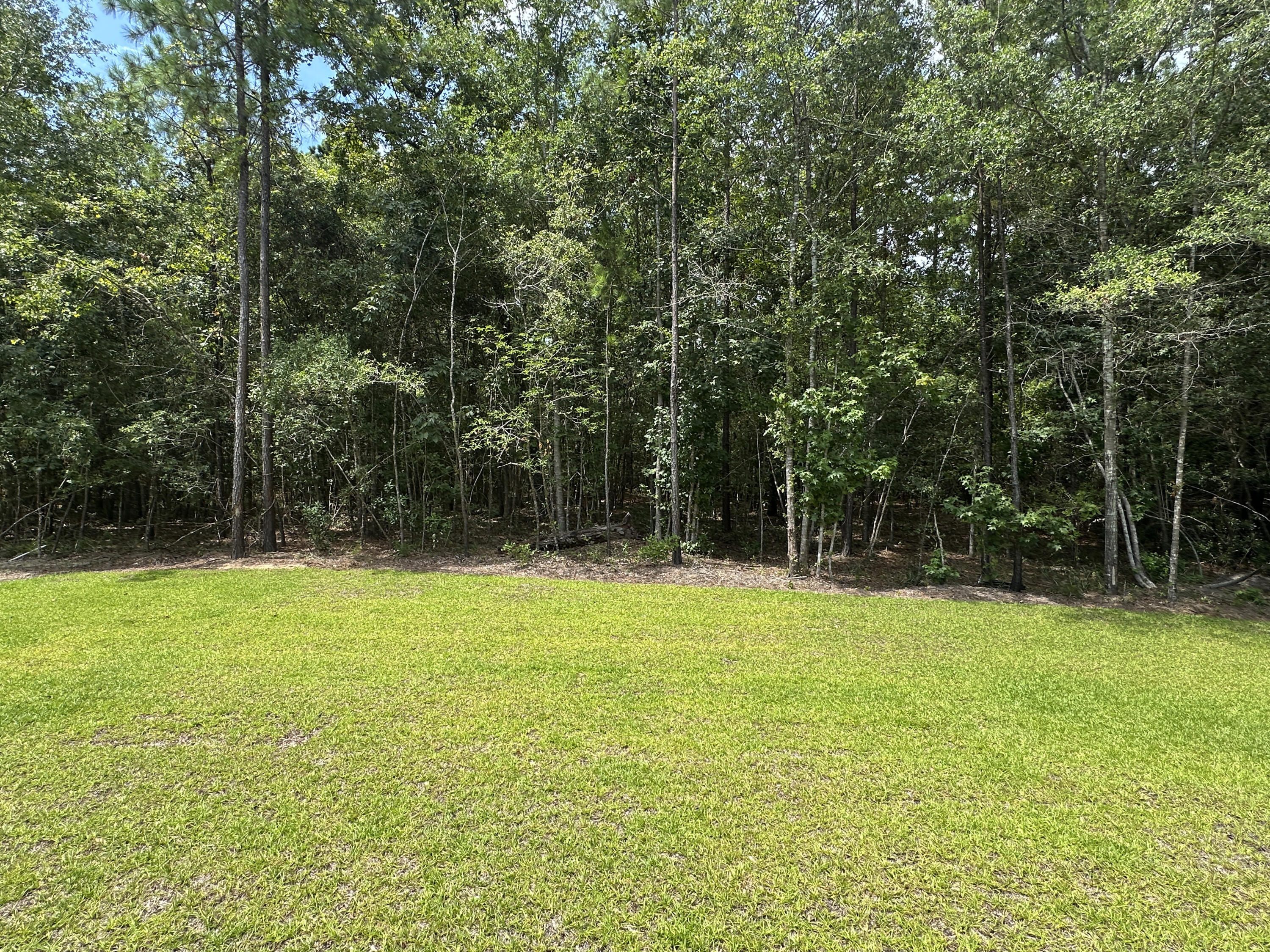 983 Awendaw Lakes Boulevard Awendaw, SC 29429 - Photo 56 of 64 Backyard 1
