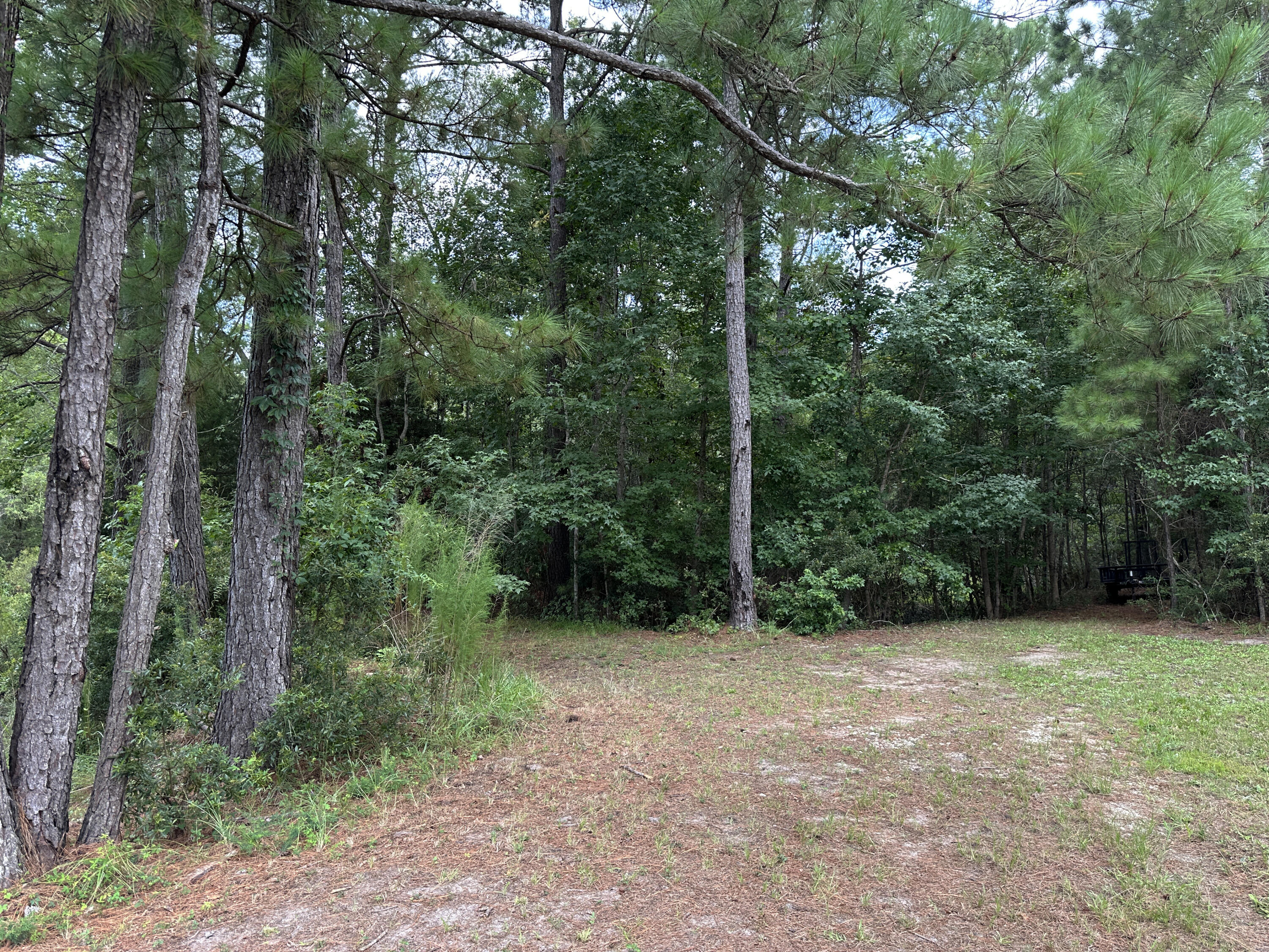 983 Awendaw Lakes Boulevard Awendaw, SC 29429 - Photo 58 of 64 Backyard Trees 3