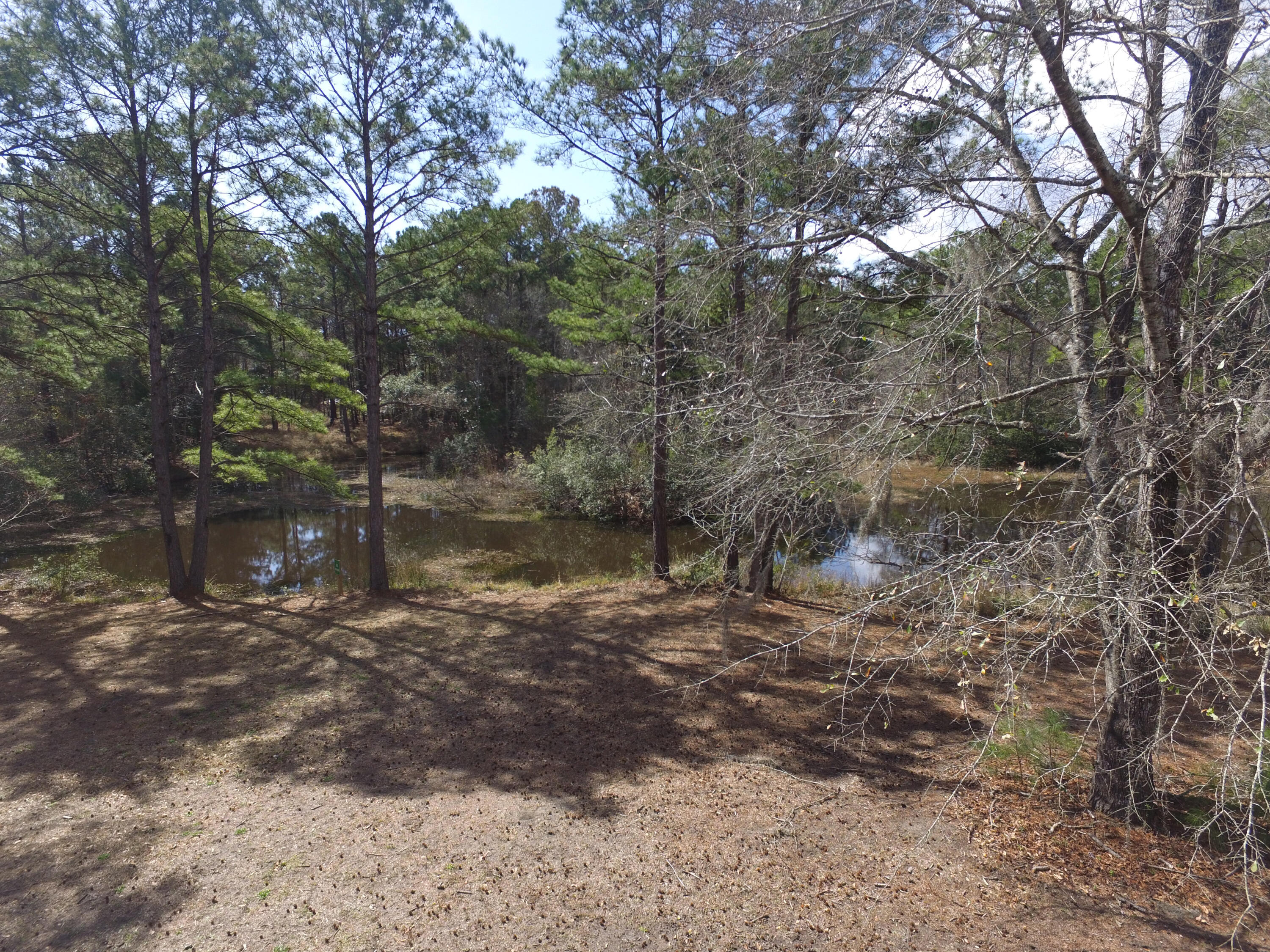 983 Awendaw Lakes Boulevard Awendaw, SC 29429 - Photo 63 of 64 Pond