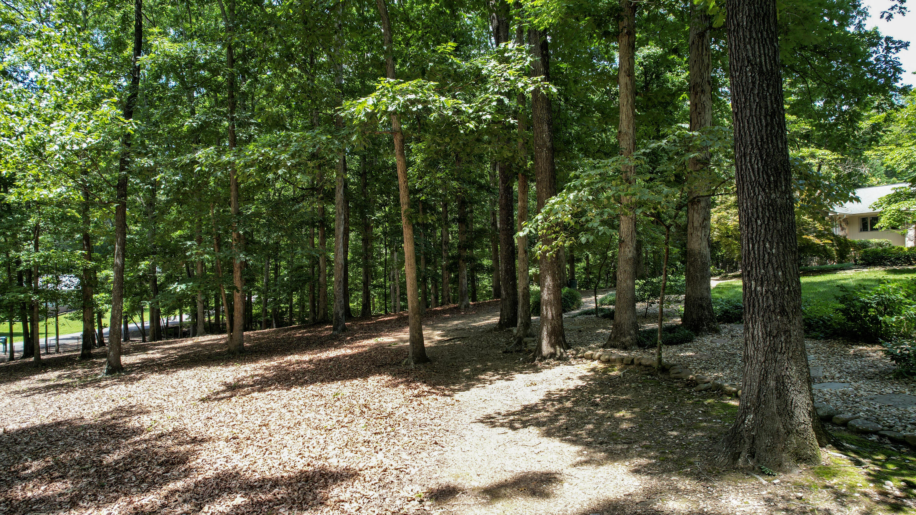 199 Lewis Lane Road Northeast Cleveland, TN 37312 - Photo 91 of 127 23-DJI_0844
