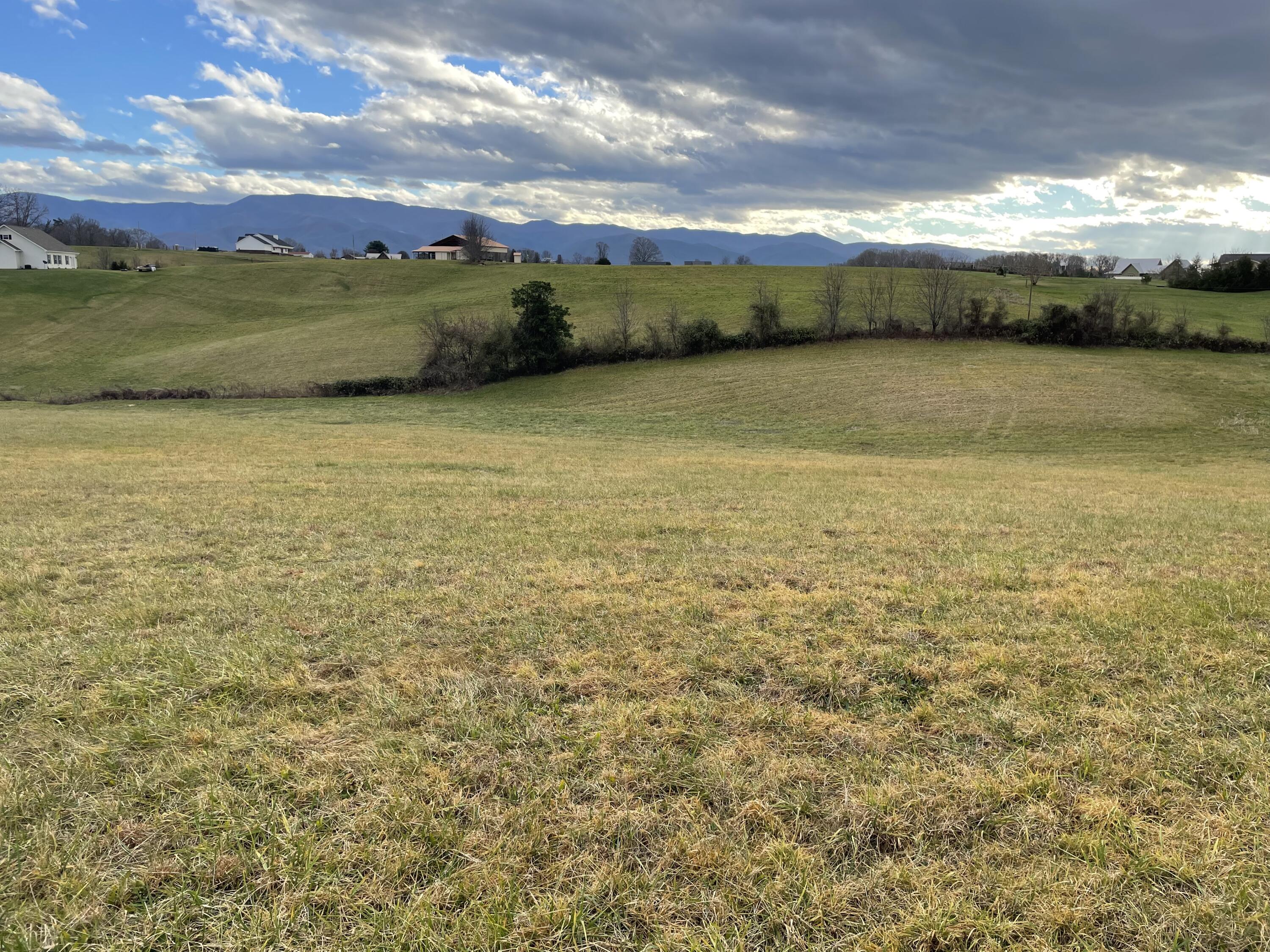 Lot 50 Mae Mckee Road Chuckey, TN 37641 - Photo 1 of 3 F72DB5EF-495B-486F-A7D4-FF2EB34C9873
