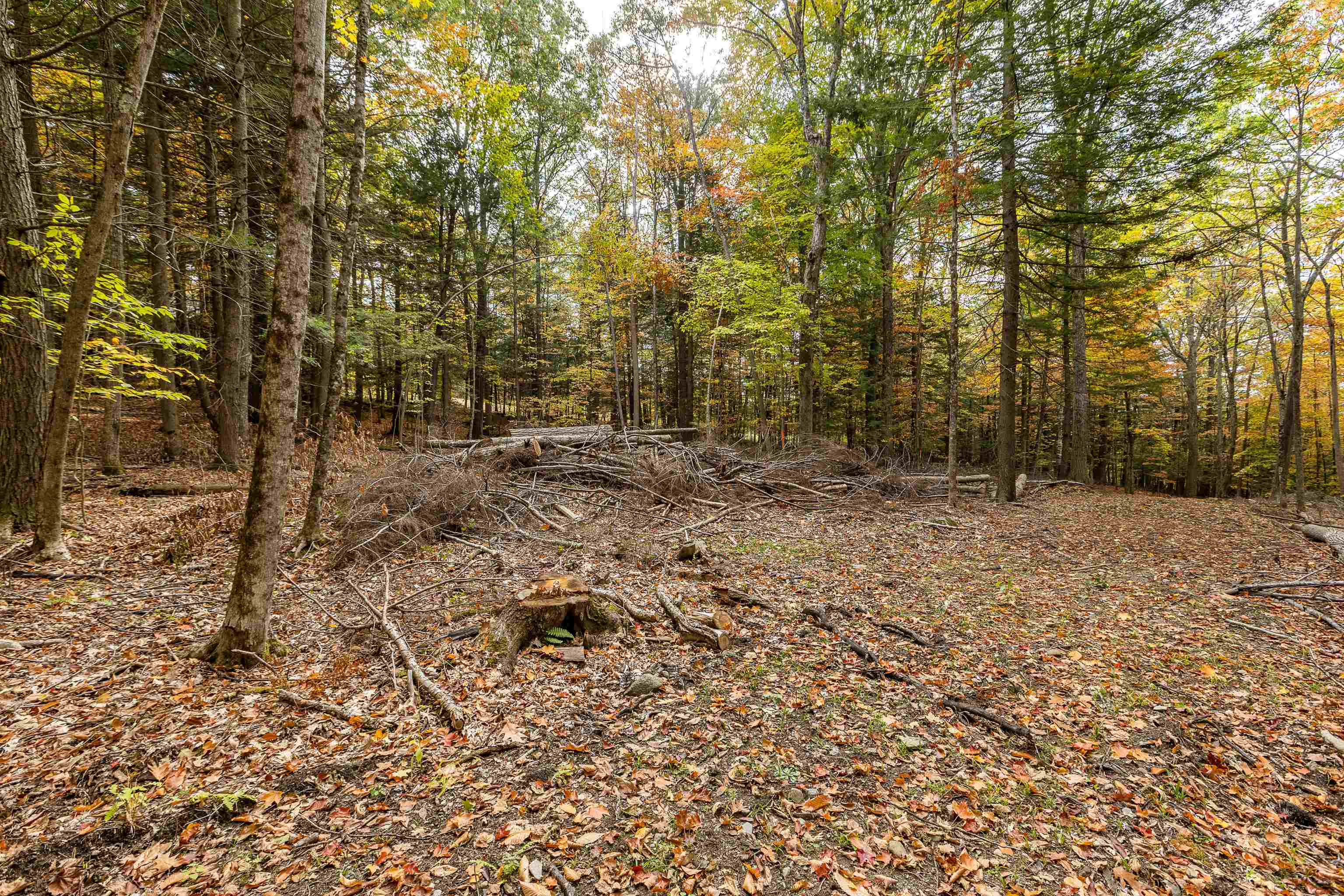 62 Stevens Road Hanover, NH 03755 - Photo 13 of 17