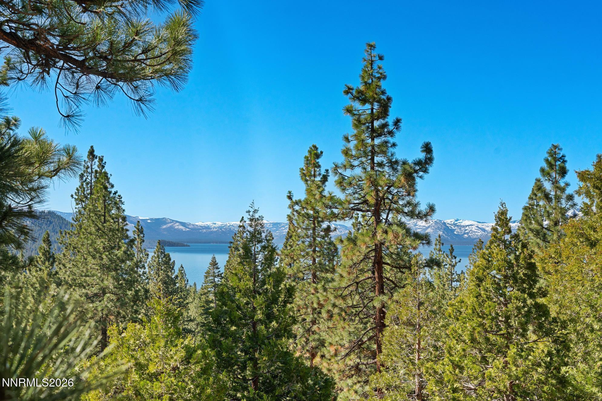 38 South Point Place Glenbrook, NV 89413 - Photo 17 of 24 a view of a flower in a garden