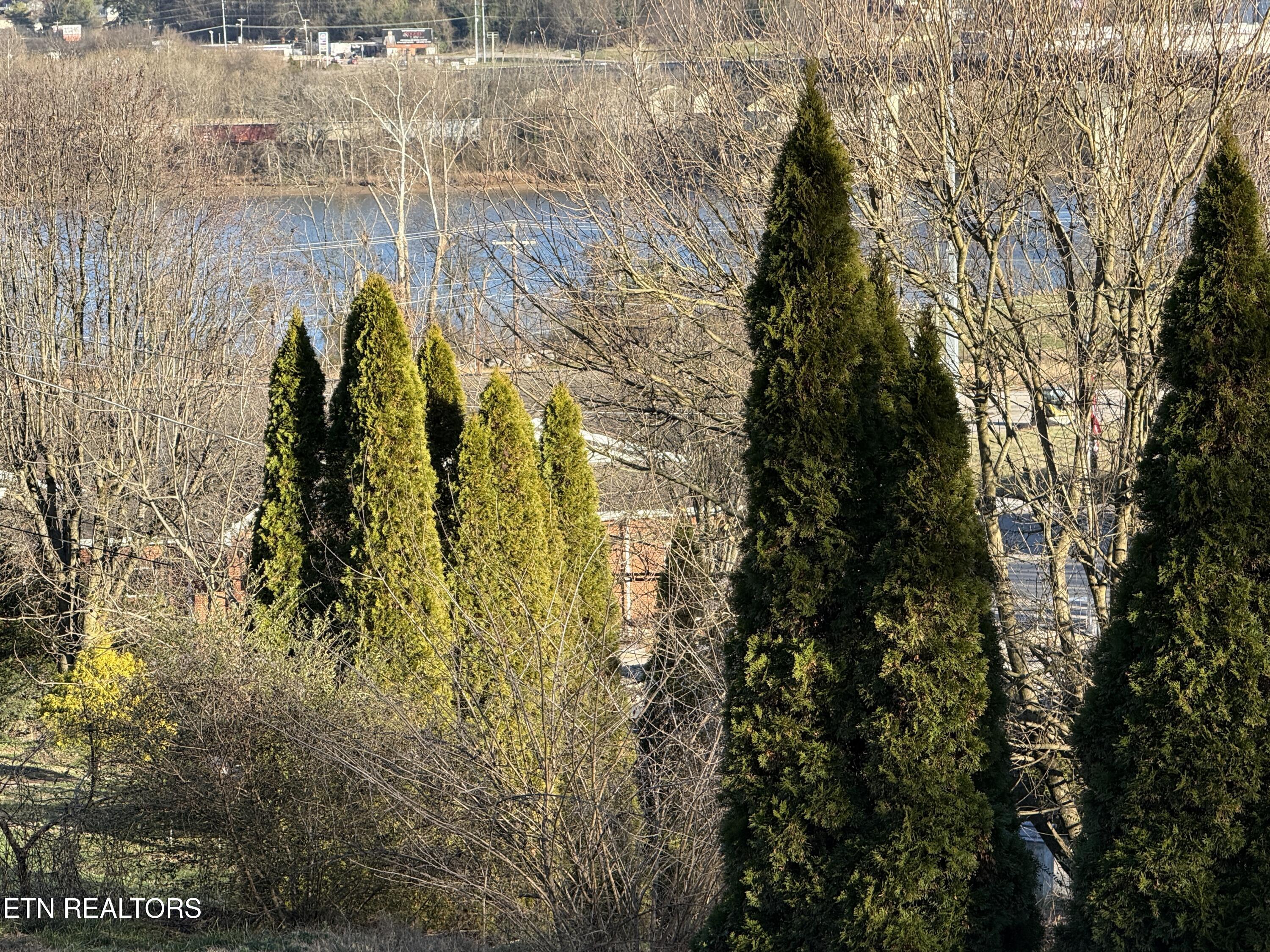 400 Collins Street Loudon, TN 37774 - Photo 22 of 22 View