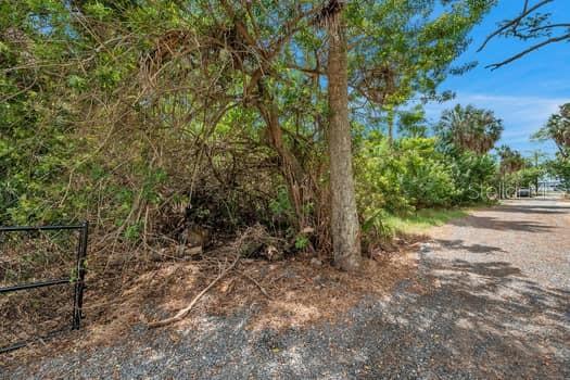 7822 Wilmar Court Port Richey, FL 34668 - Photo 3 of 35