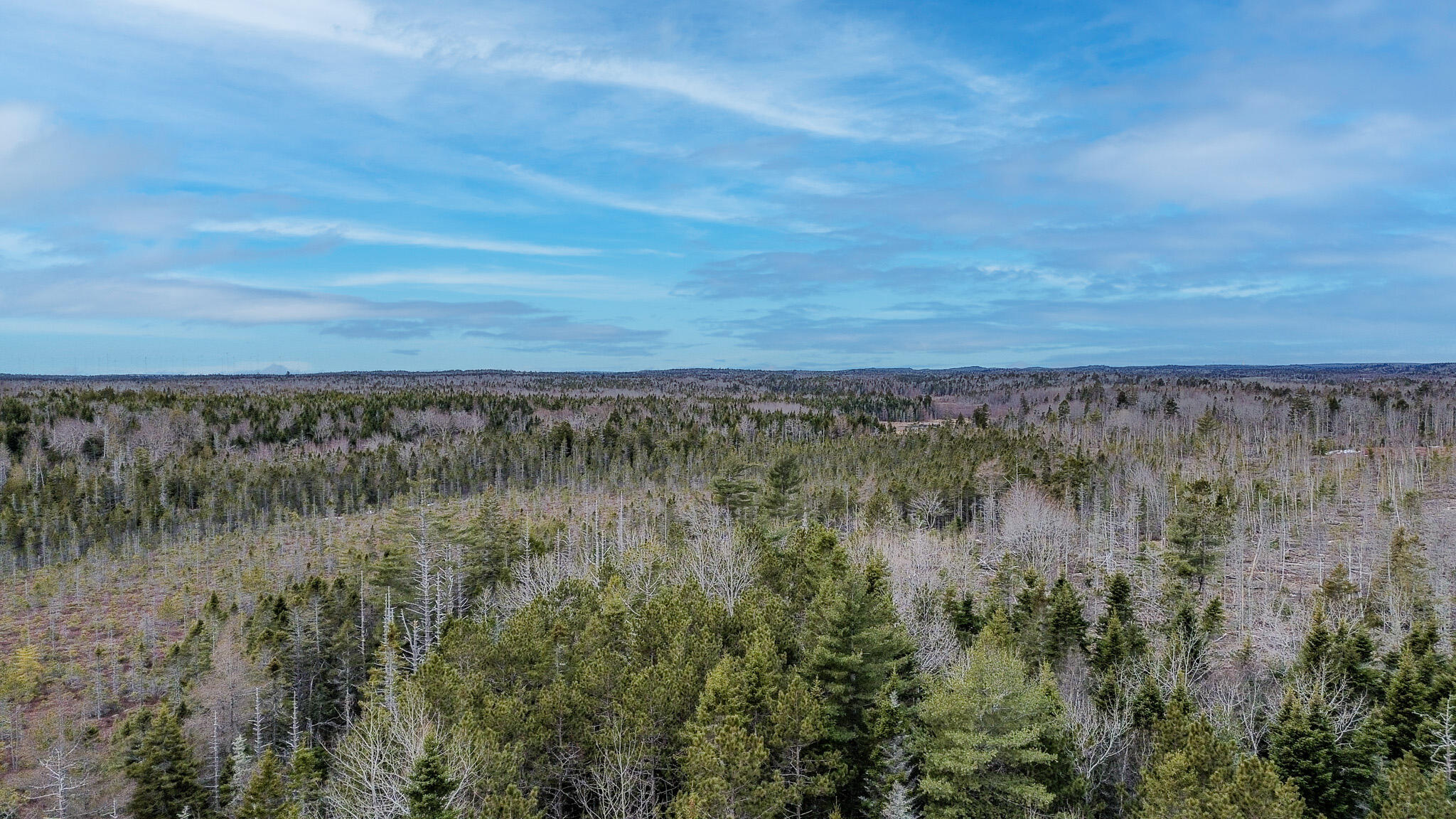 0 Lively Brook Road Whiting, ME 04691 - Photo 48 of 50