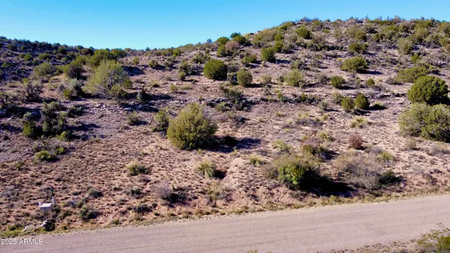 a view of a large yard with green space