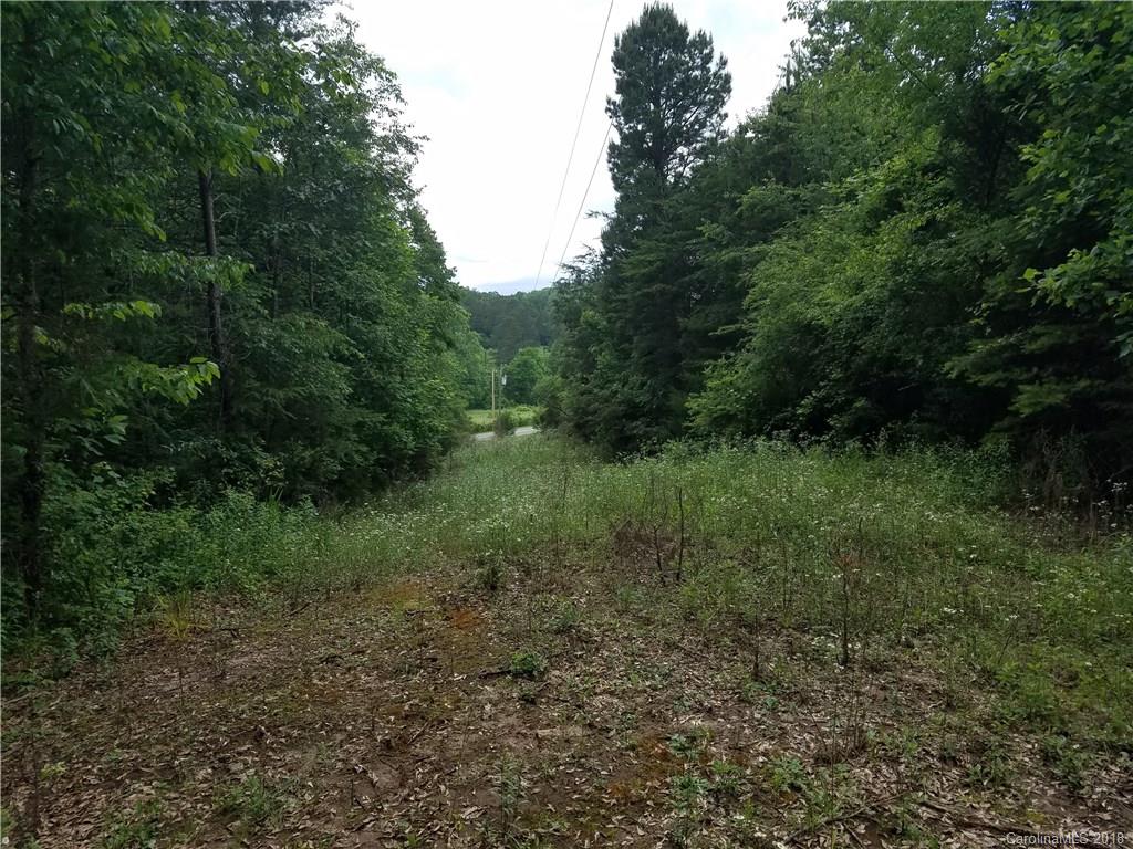 314 Elliott Road Rutherfordton, NC 28139 - Photo 2 of 16 Gallery Image 2