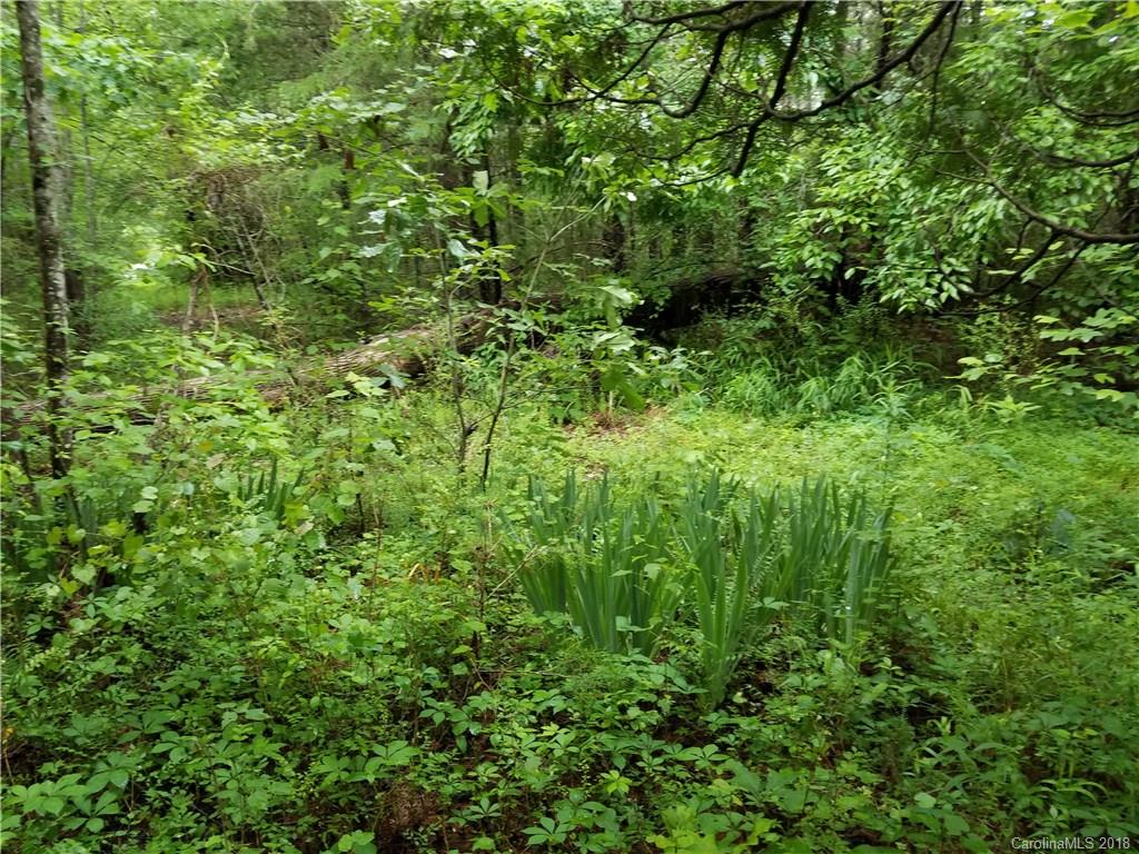 314 Elliott Road Rutherfordton, NC 28139 - Photo 12 of 16 Gallery Image 12