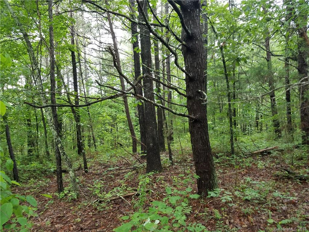 314 Elliott Road Rutherfordton, NC 28139 - Photo 13 of 16 Gallery Image 13