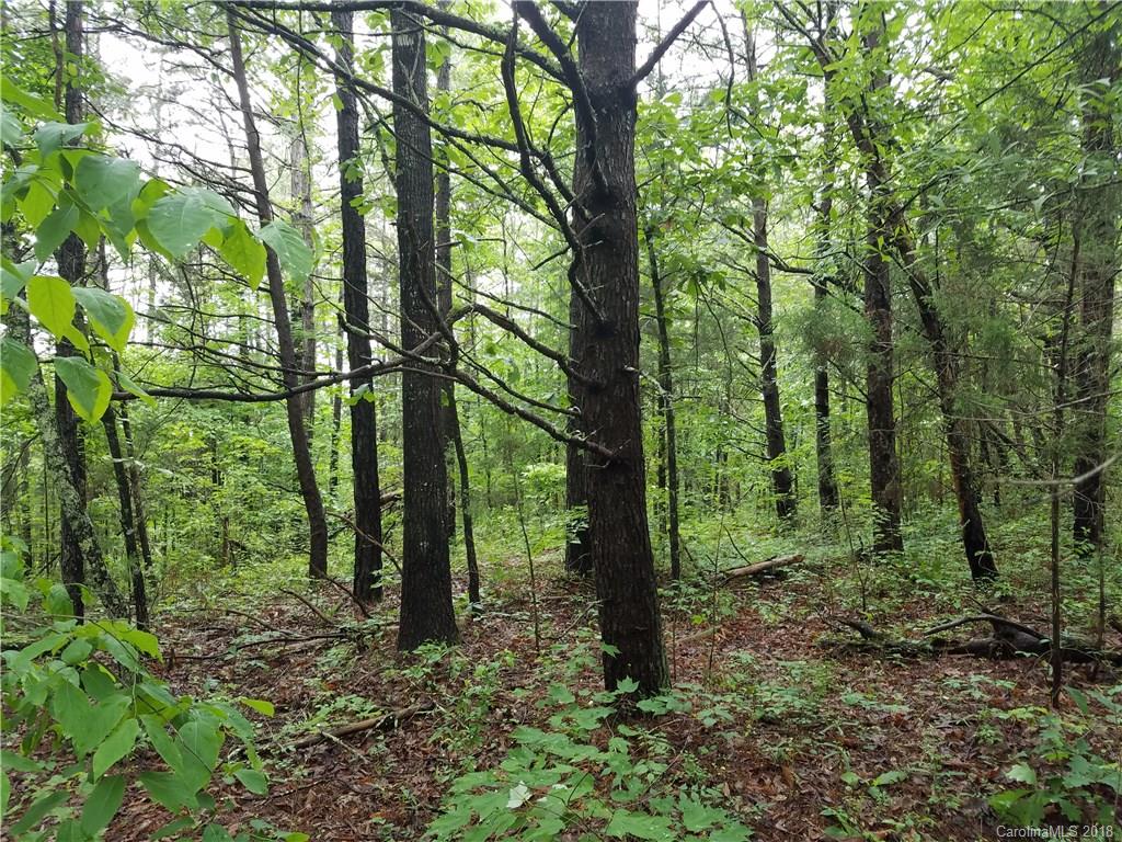 314 Elliott Road Rutherfordton, NC 28139 - Photo 10 of 16 Gallery Image 10
