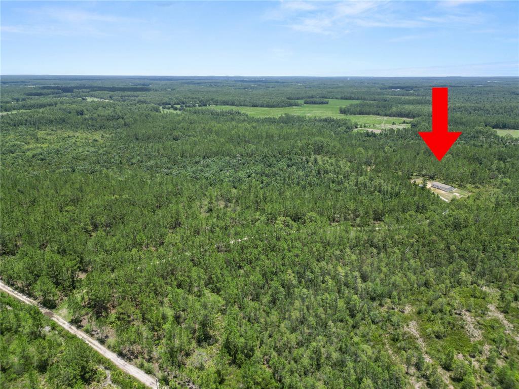 3450 Salyers Road Clermont, FL 34714 - Photo 42 of 50