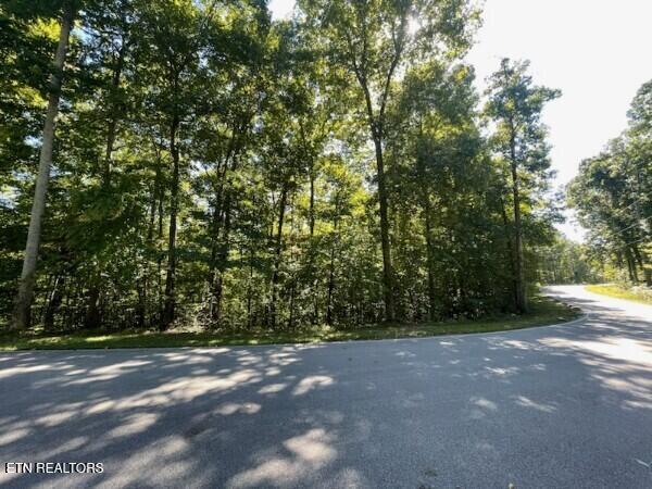 0 Coves Pointe Lane Sparta, TN 38583 - Photo 2 of 2 32903974-lr