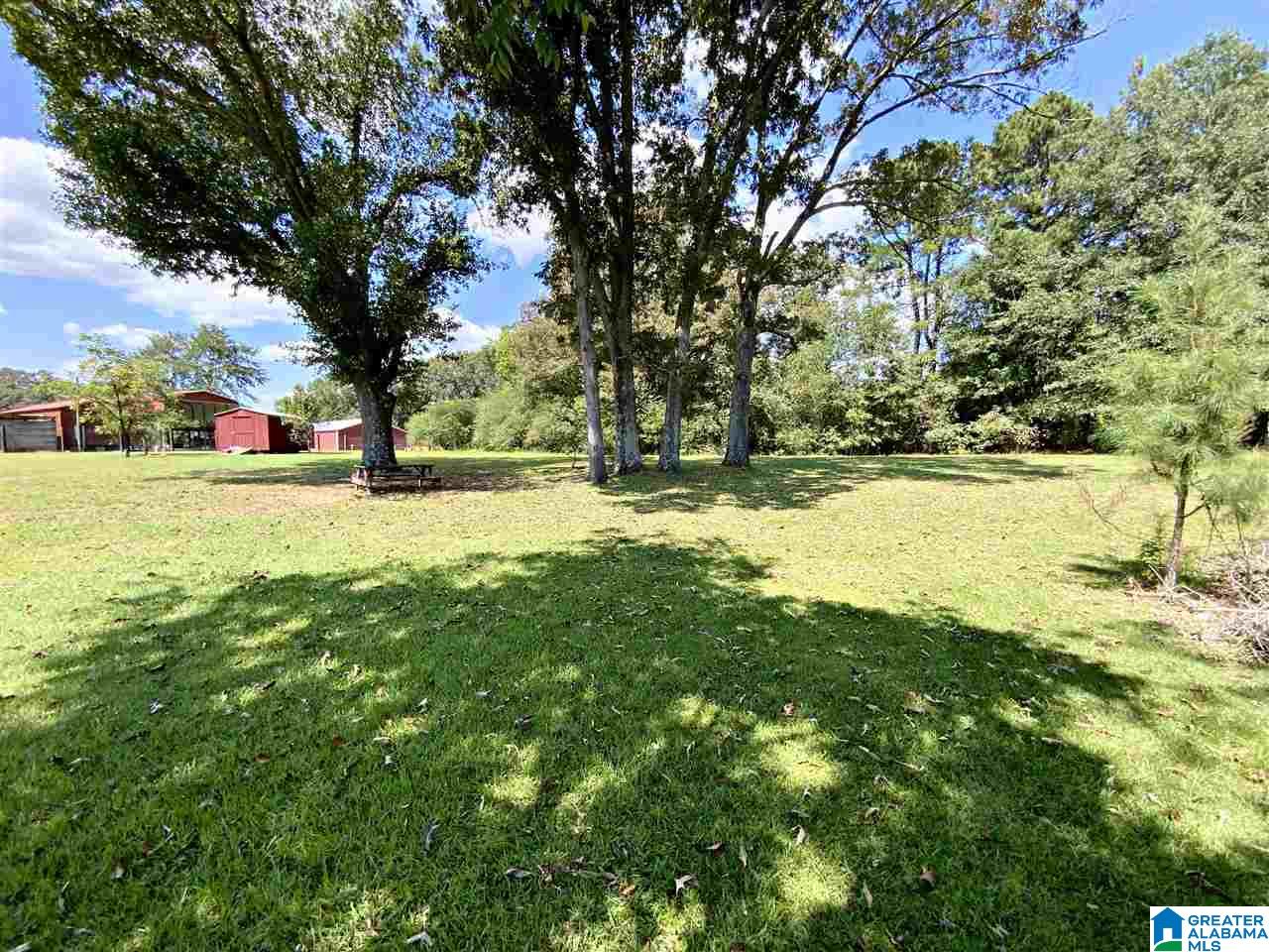 933 McElderry Road North Munford, AL 36268 - Photo 21 of 27