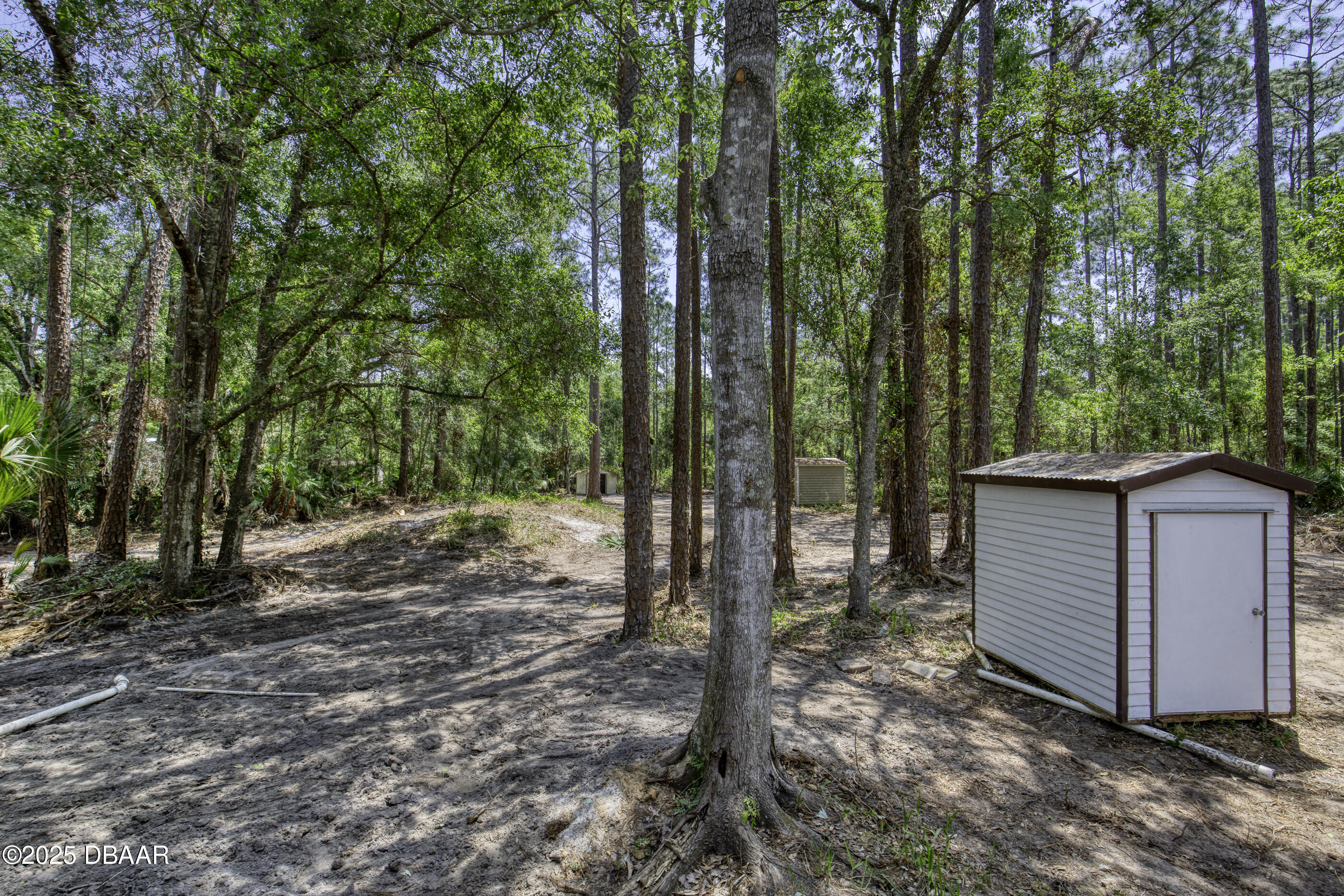 2089 Guava Lane Bunnell, FL 32110 - Photo 37 of 58 a view of a backyard with trees