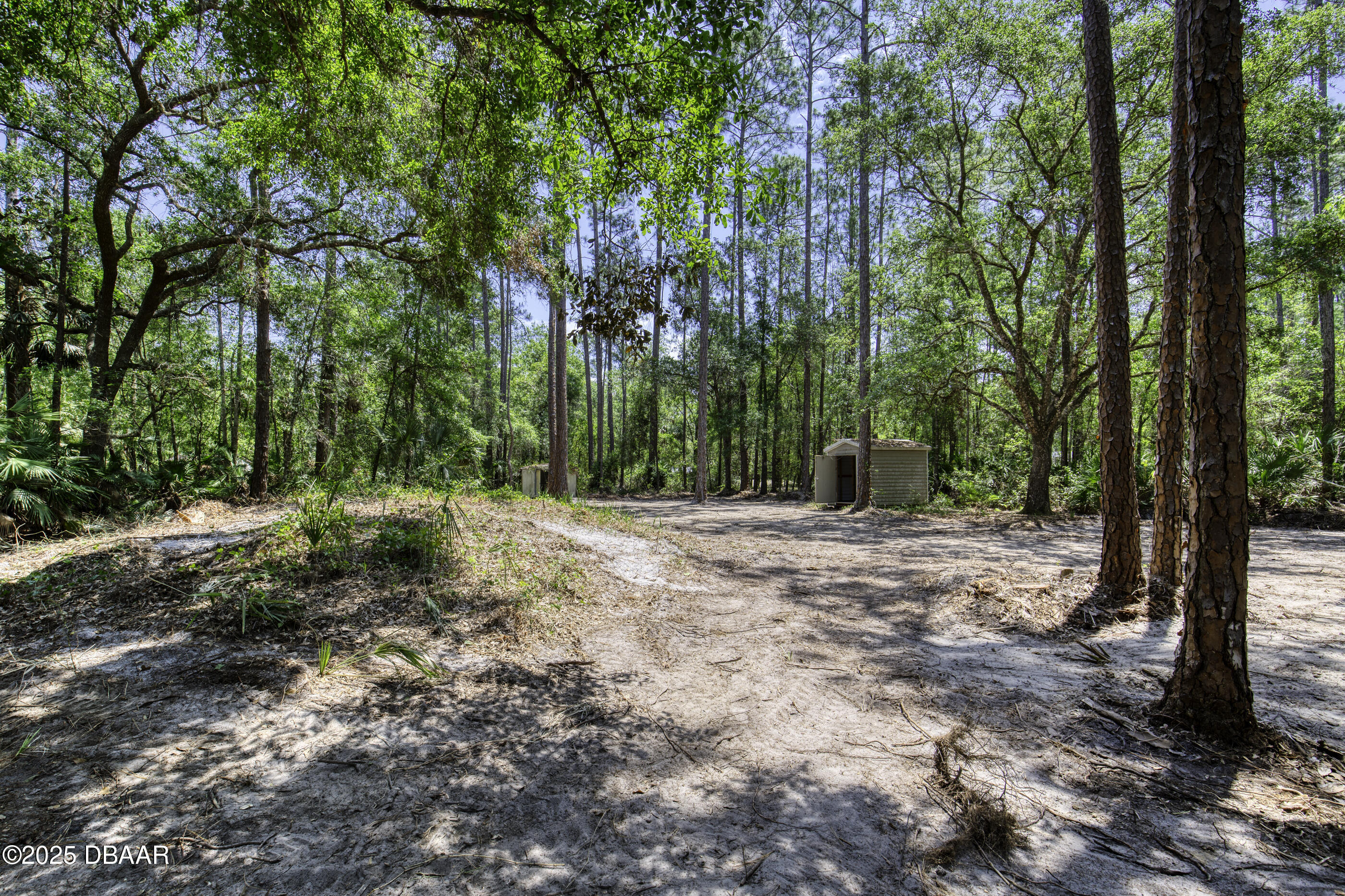 2089 Guava Lane Bunnell, FL 32110 - Photo 43 of 58 a backyard of a house with lots of green space