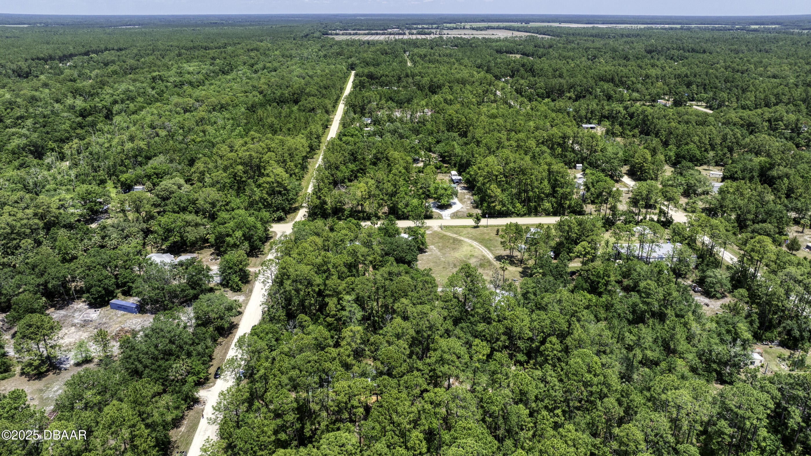 2089 Guava Lane Bunnell, FL 32110 - Photo 50 of 58 a view of a forest with a houses