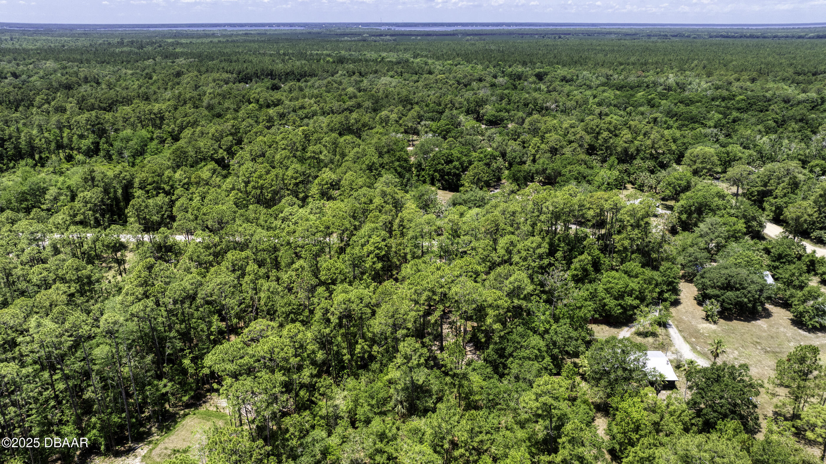 2089 Guava Lane Bunnell, FL 32110 - Photo 52 of 58 a view of a lush green field
