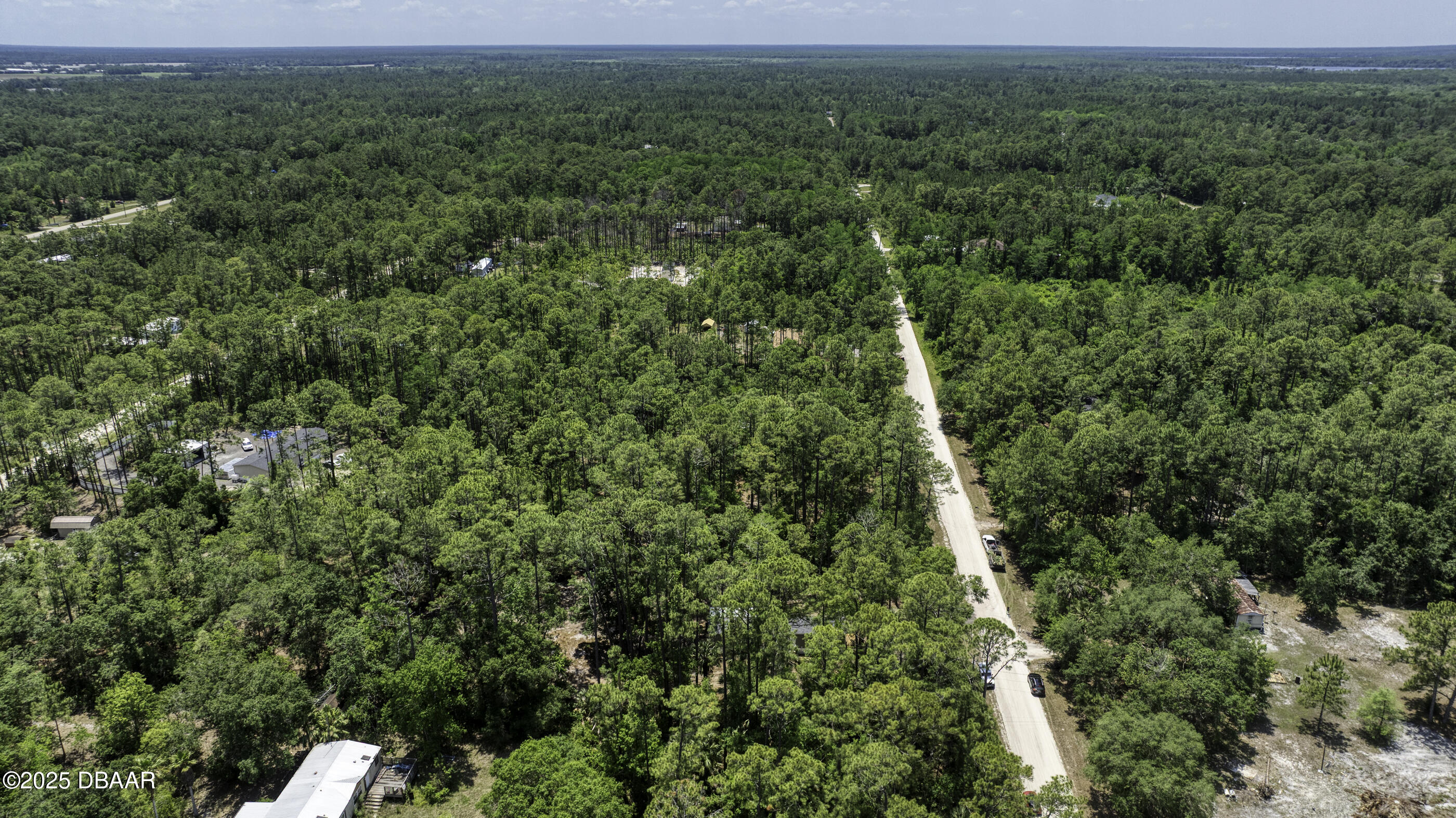 2089 Guava Lane Bunnell, FL 32110 - Photo 54 of 58 a view of a forest with a street