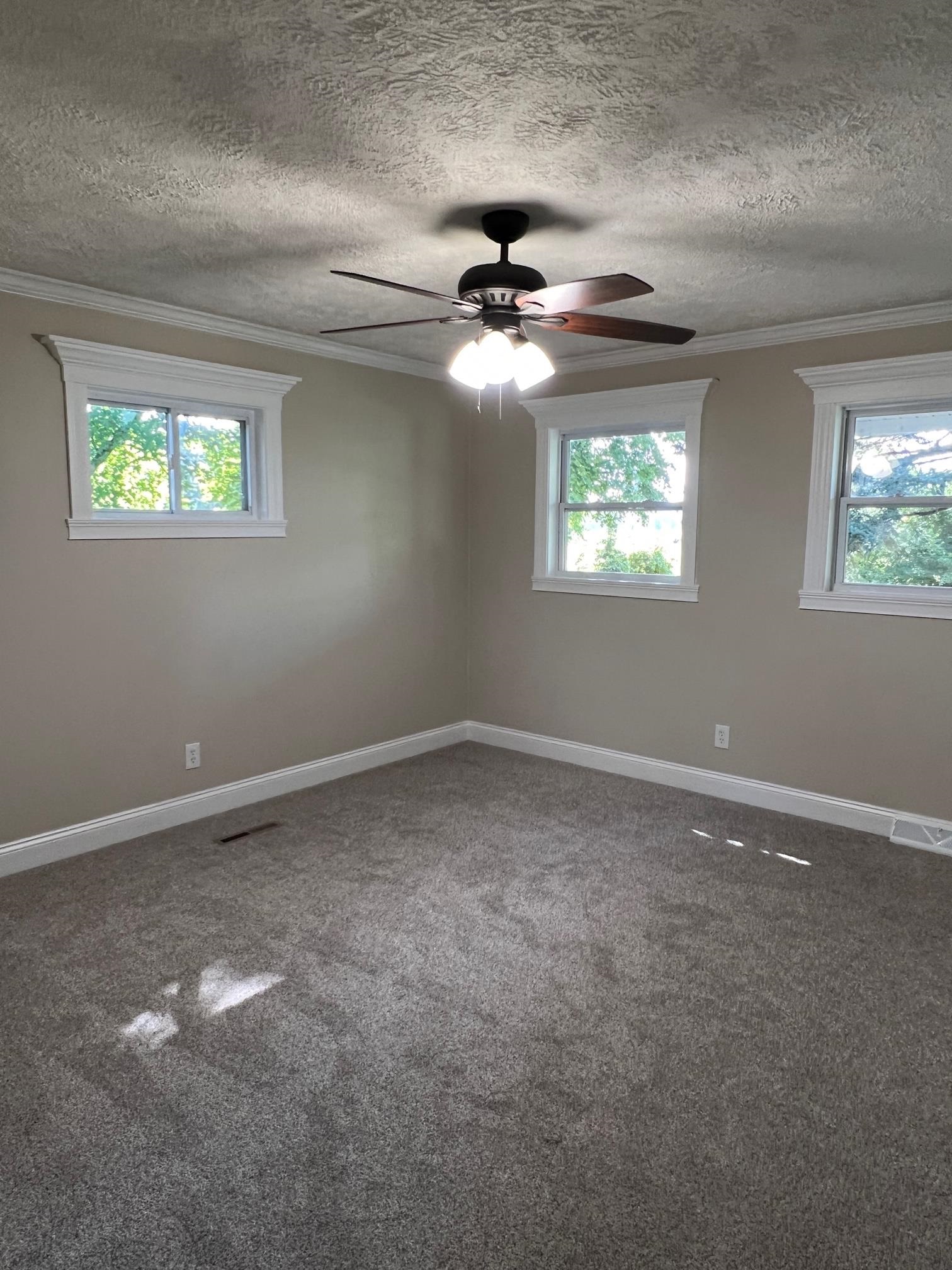 3355 East Braden Road Perry, MI 48872 - Photo 14 of 31 50119075-13.JPG