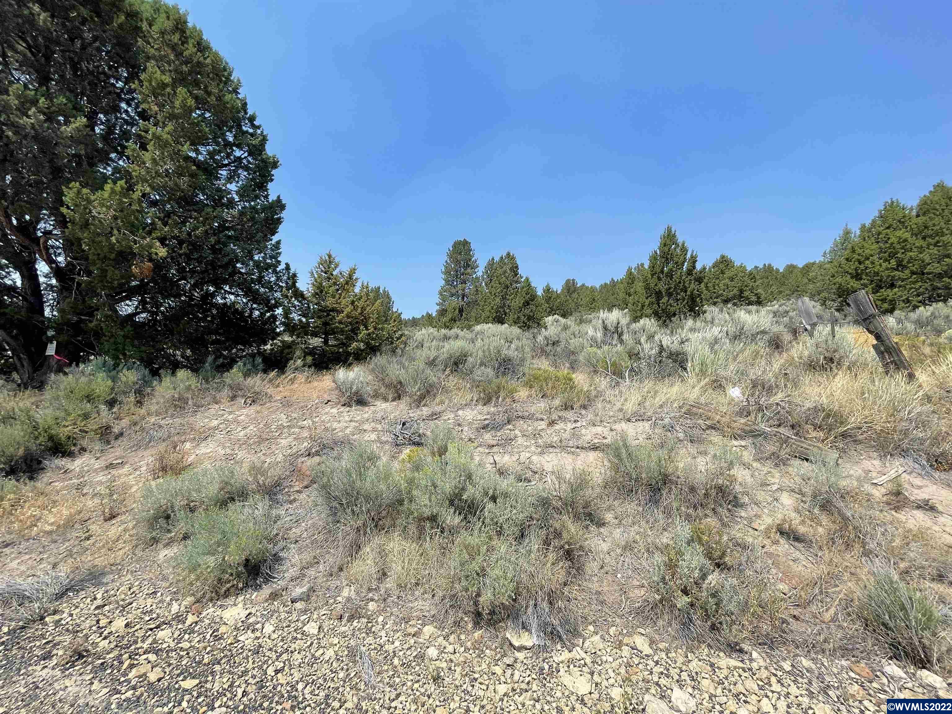 Drews (lot 19) Road Chiloquin, OR 97624 - Photo 1 of 8