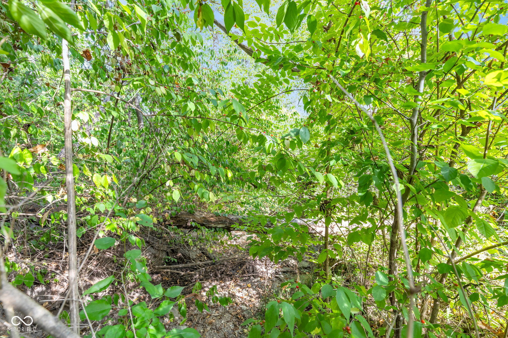 4080 Tansel Road Indianapolis, IN 46234 - Photo 5 of 27