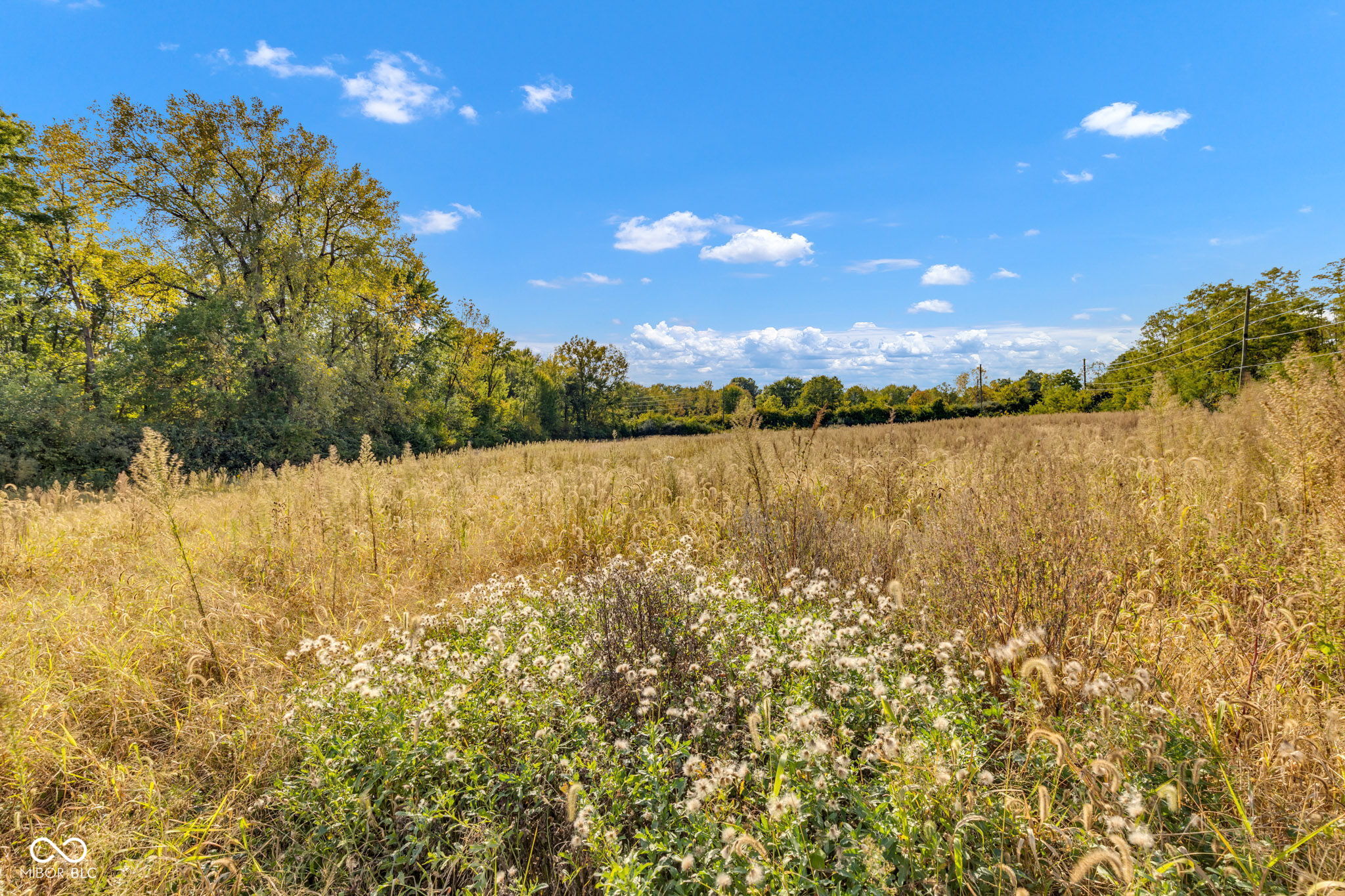 4080 Tansel Road Indianapolis, IN 46234 - Photo 9 of 27