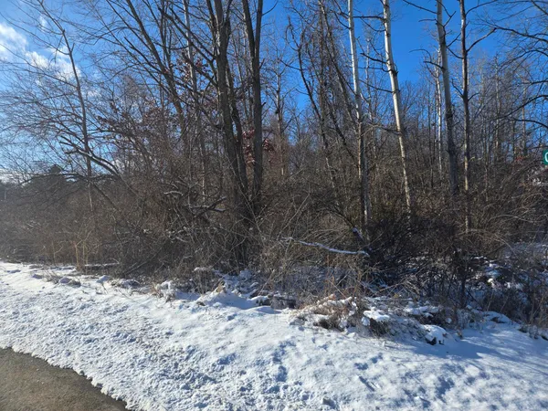 $25,000 | 11838 Greenbriar Drive, Jerome, MI 49249