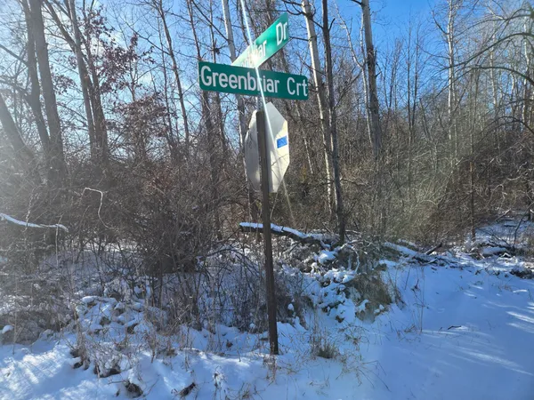 $25,000 | 11838 Greenbriar Drive, Jerome, MI 49249