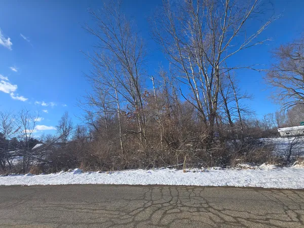 $25,000 | 11838 Greenbriar Drive, Jerome, MI 49249