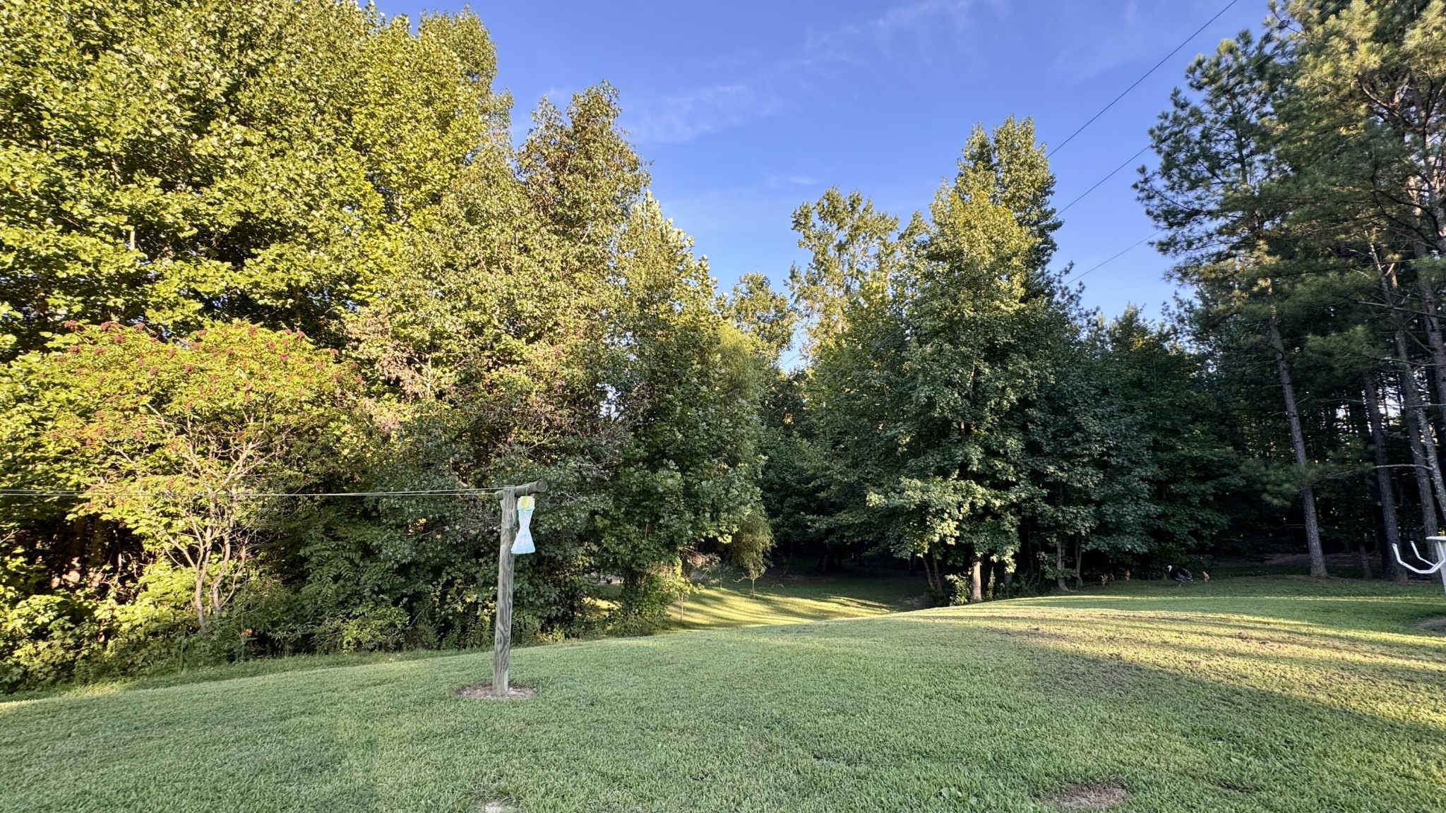 3701 Redman Lane Decatur, TN 37322 - Photo 90 of 96 Gallery Image 90