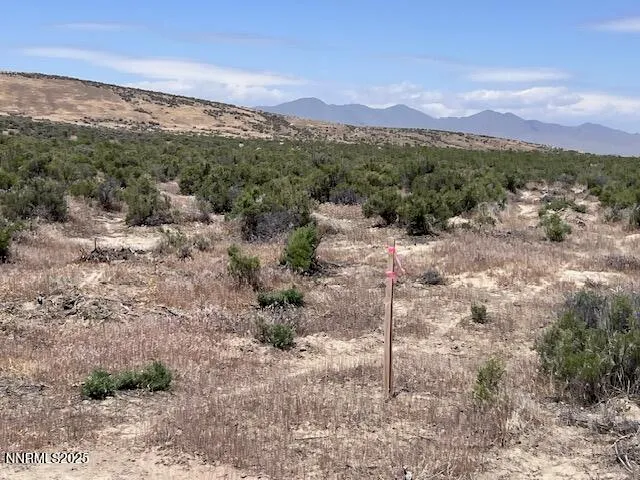 a view of a covered with trees in the background