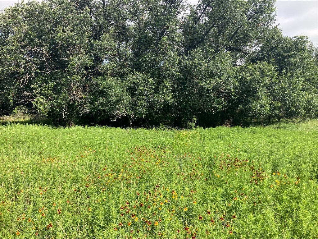 4605 West Ranch Road Mason, TX 76856 - Photo 13 of 26