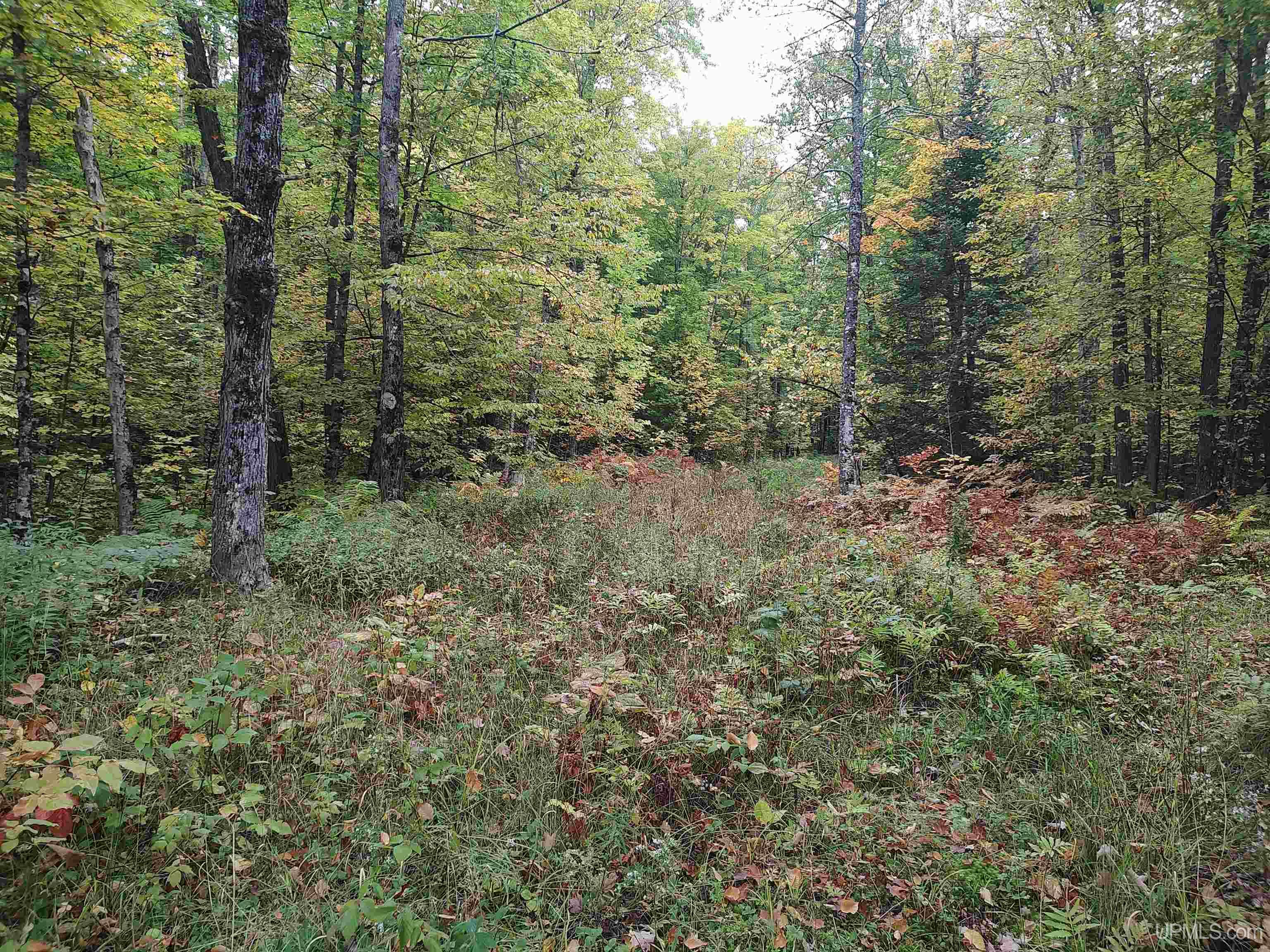 Tbd South Laird Road Pelkie, MI 49958 - Photo 15 of 25