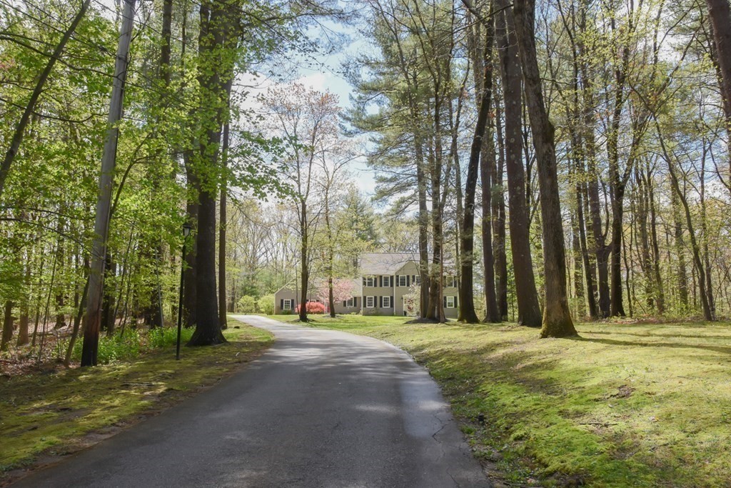 151 School Street Acton, MA 01720 - Photo 3 of 39 a view of a backyard with large trees