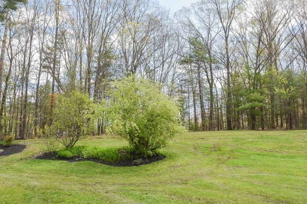 151 School Street Acton, MA 01720 - Photo 37 of 39 a big yard with trees