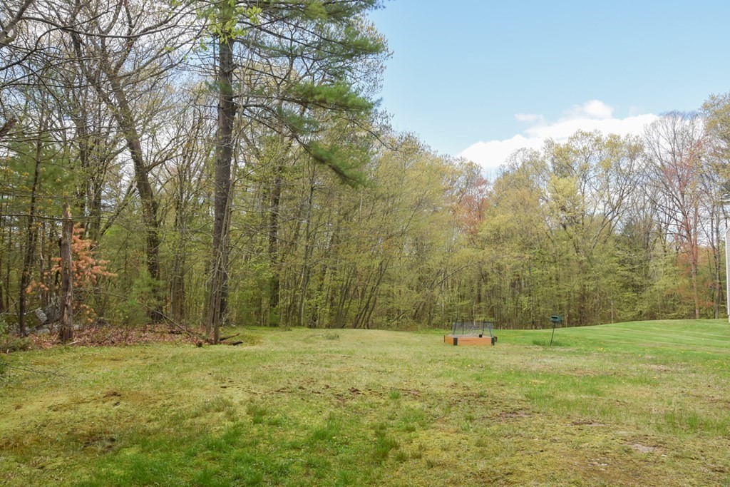 151 School Street Acton, MA 01720 - Photo 38 of 39 a view of garden with tall trees