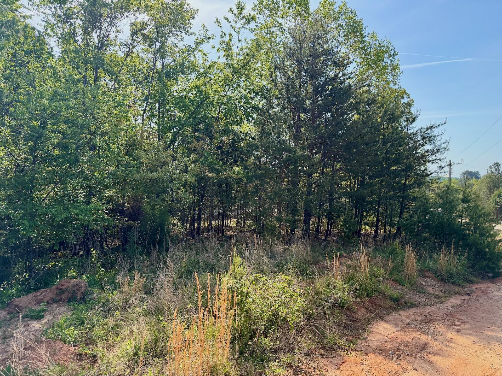 0 River Ridge Lane Axton, VA 24054 - Photo 11 of 44 a view of river covered with trees