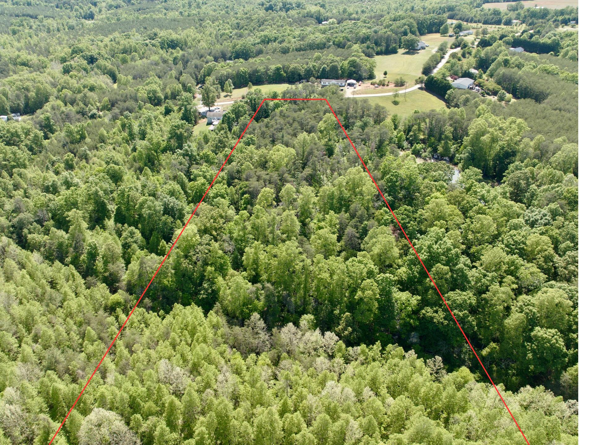 0 River Ridge Lane Axton, VA 24054 - Photo 13 of 44 view of a forest with a houses