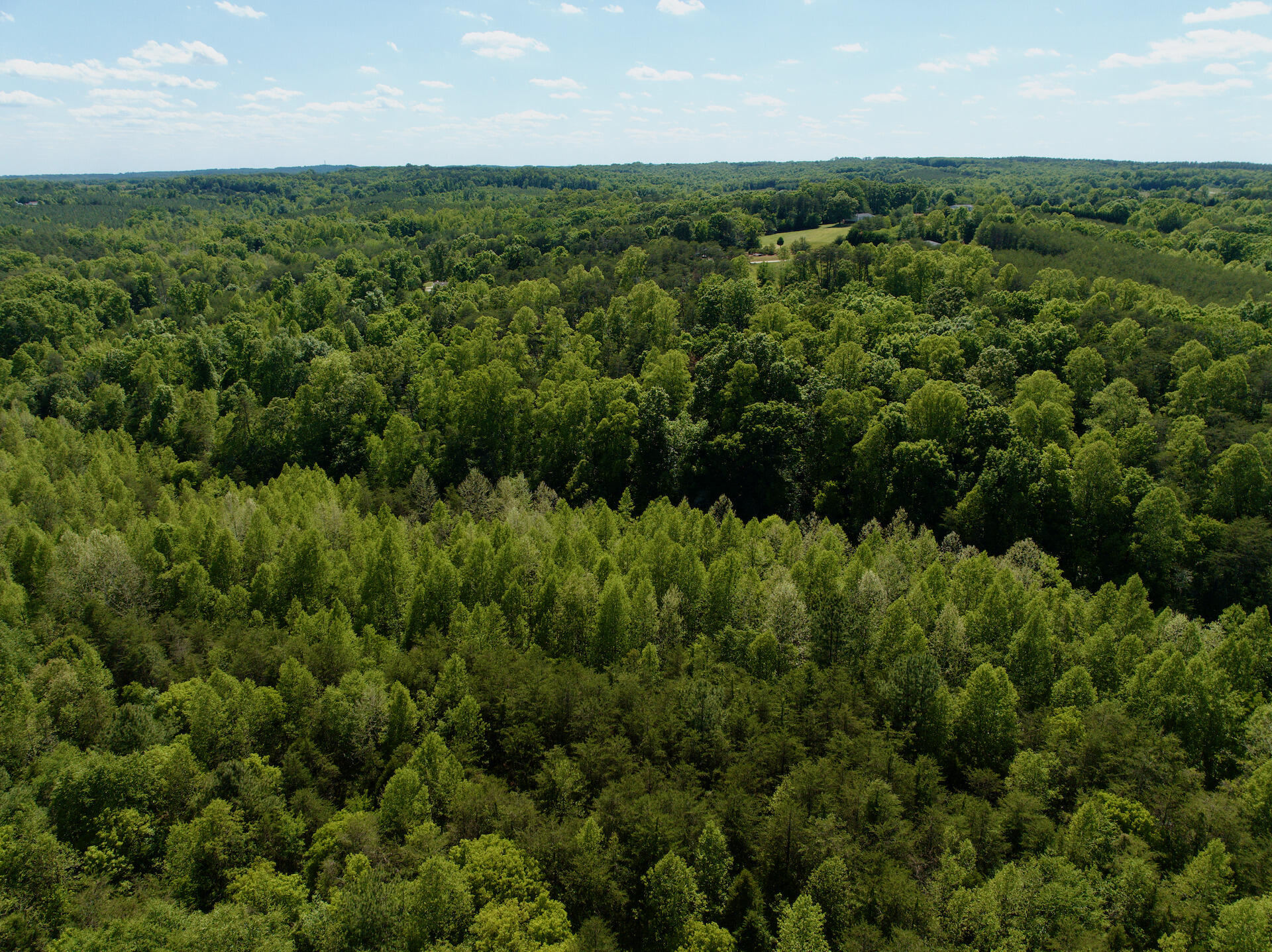 0 River Ridge Lane Axton, VA 24054 - Photo 25 of 44 an aerial view of a houses with yard and green space