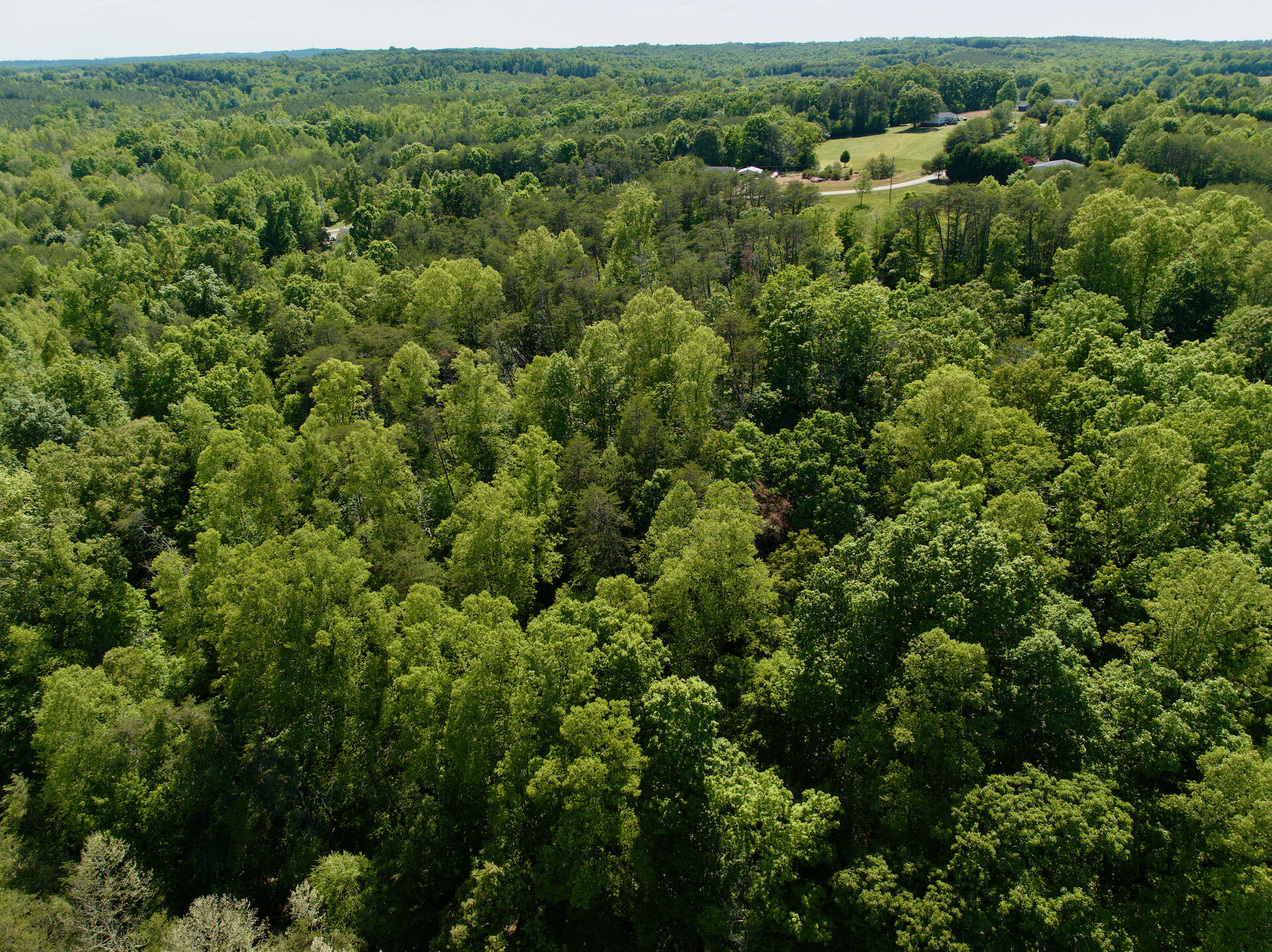 0 River Ridge Lane Axton, VA 24054 - Photo 29 of 44 a view of a lush green forest with trees and houses
