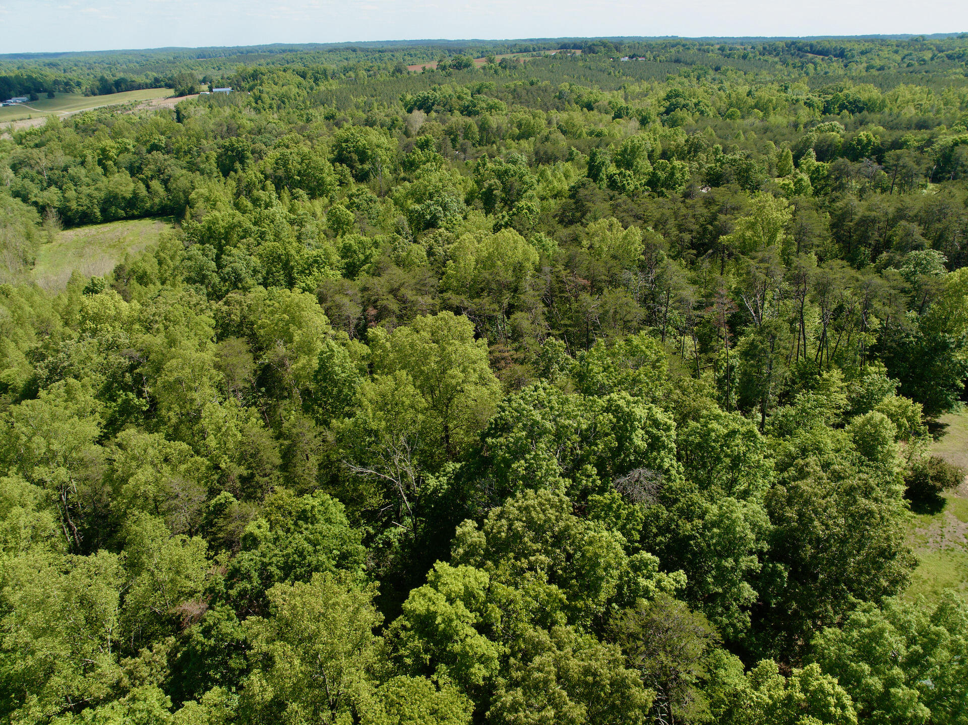 0 River Ridge Lane Axton, VA 24054 - Photo 32 of 44 an aerial view of a house with a yard