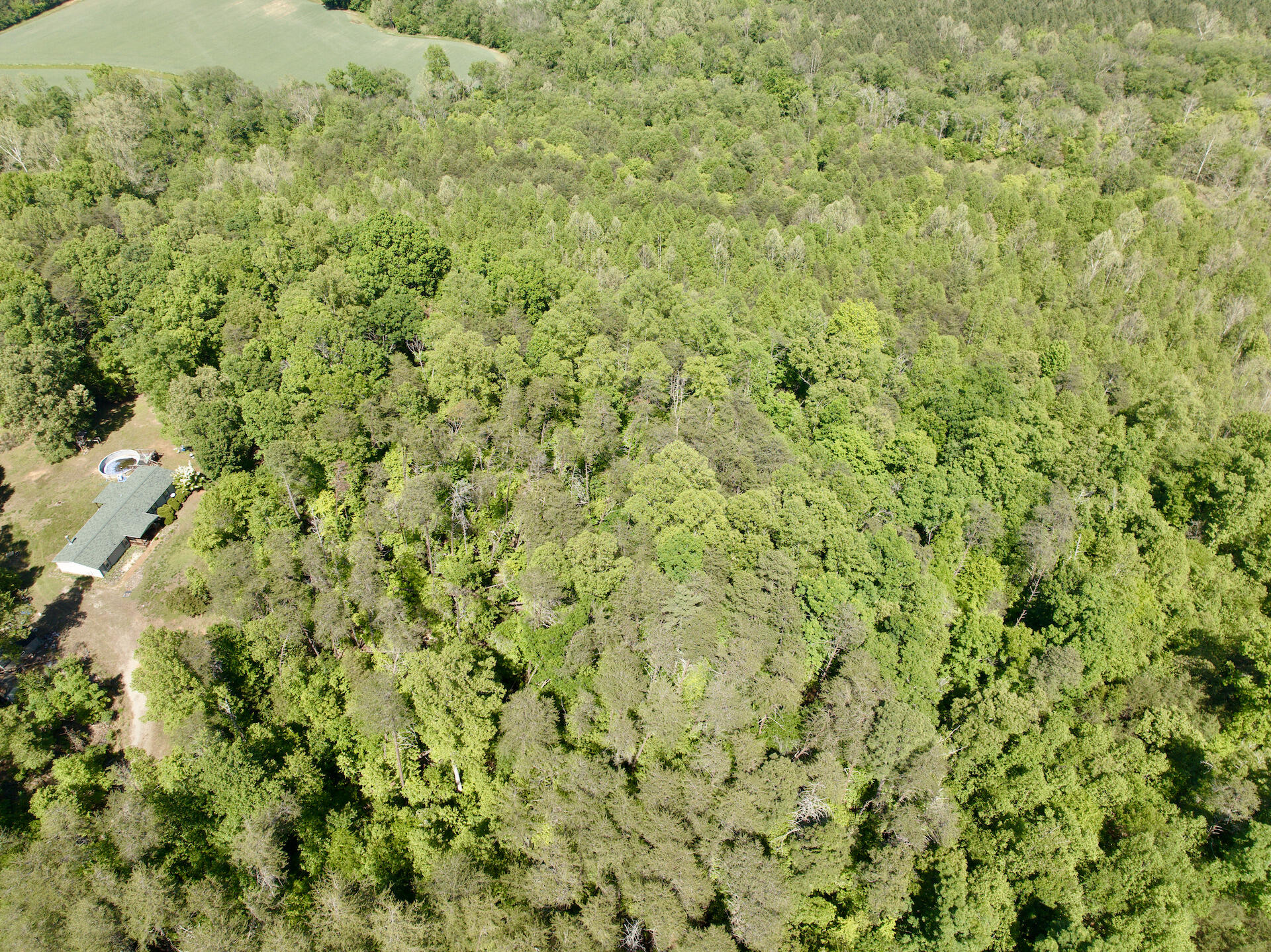 0 River Ridge Lane Axton, VA 24054 - Photo 6 of 44 a view of a big yard with plants and large trees